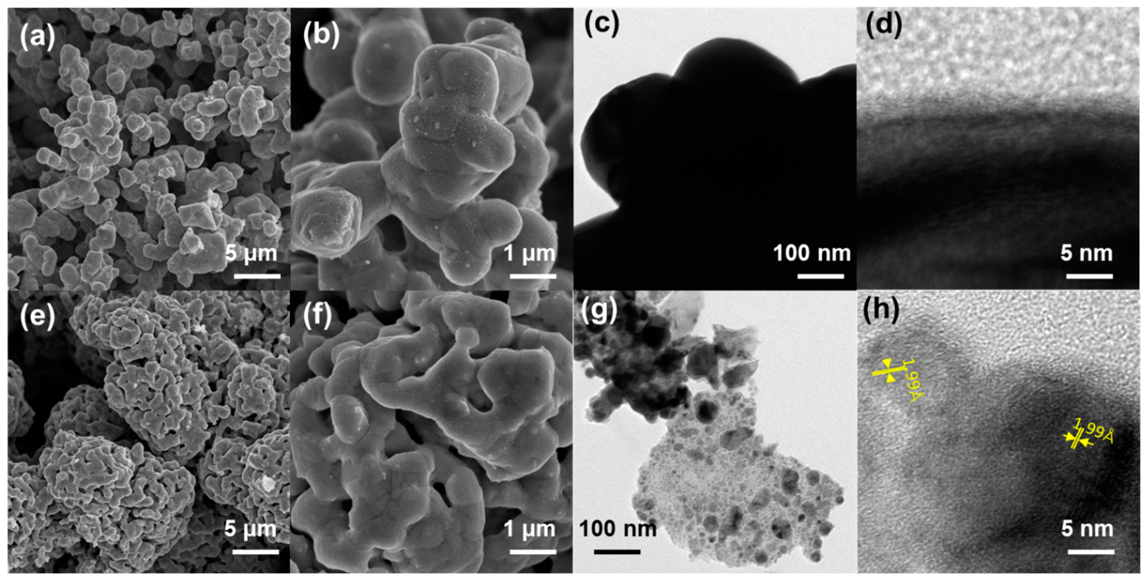 Catalysts 13 01418 g002
