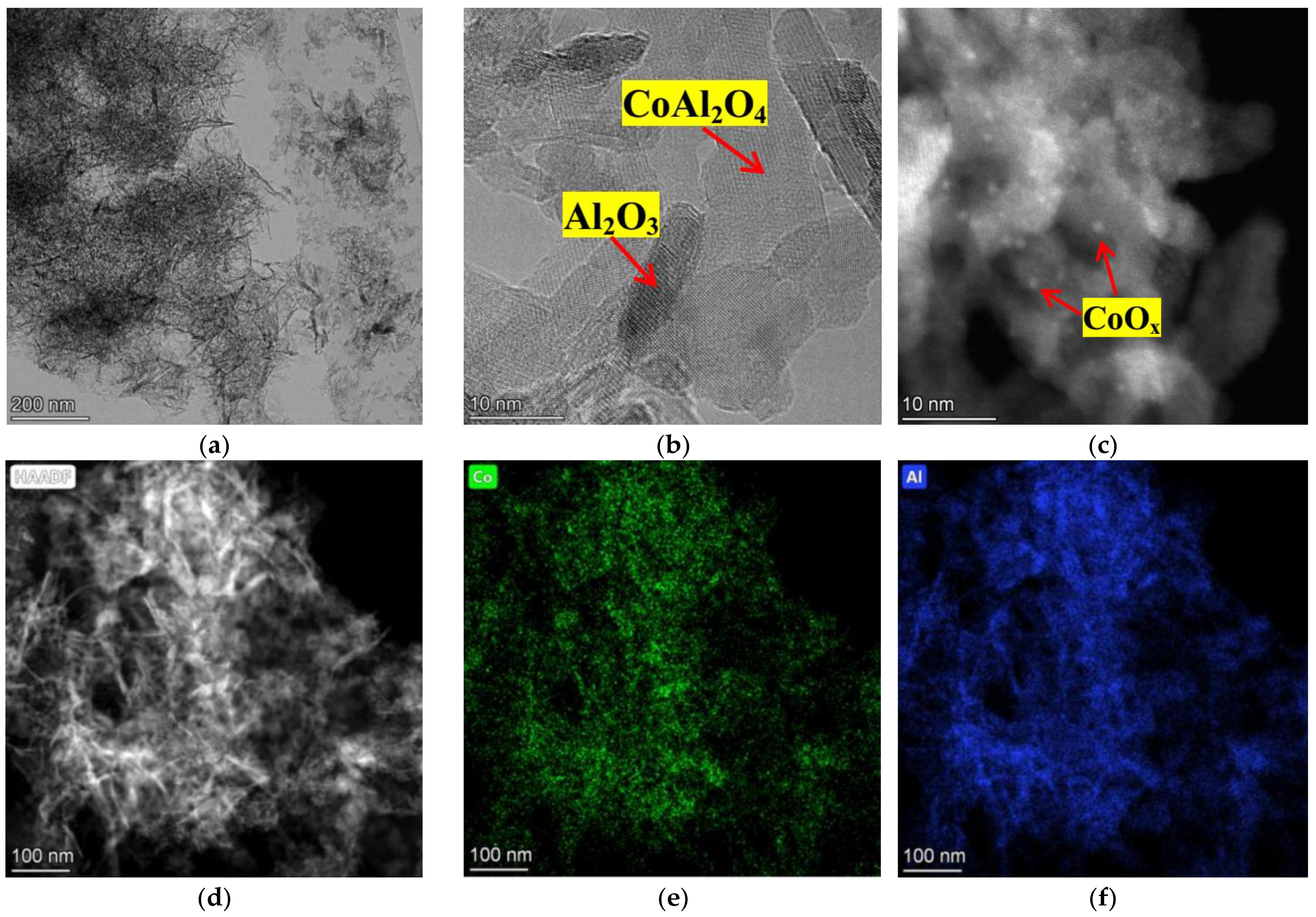 Catalysts 13 01419 g010
