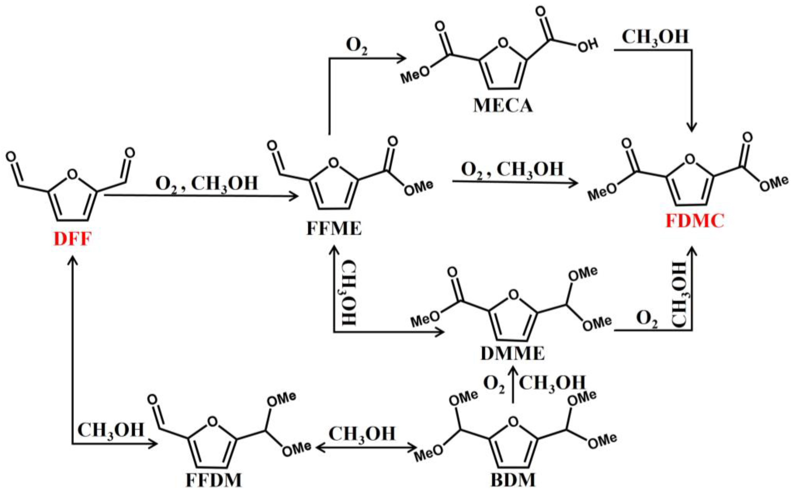 Catalysts 13 01430 sch001