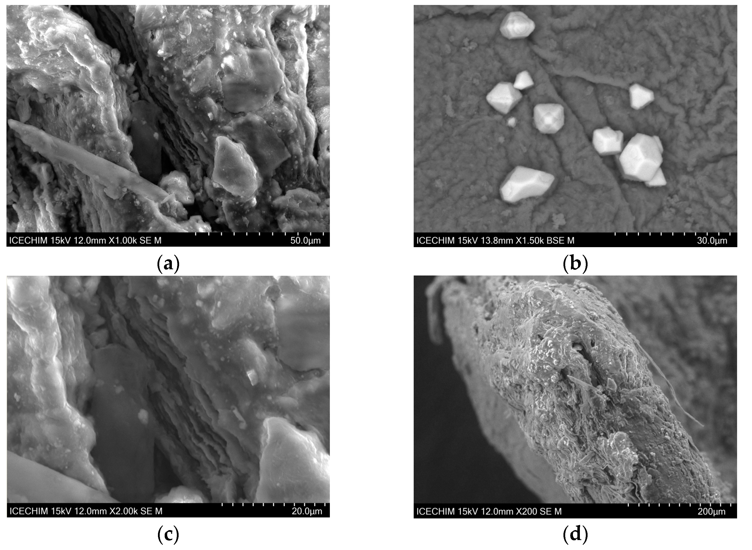 Catalysts 13 01431 g003