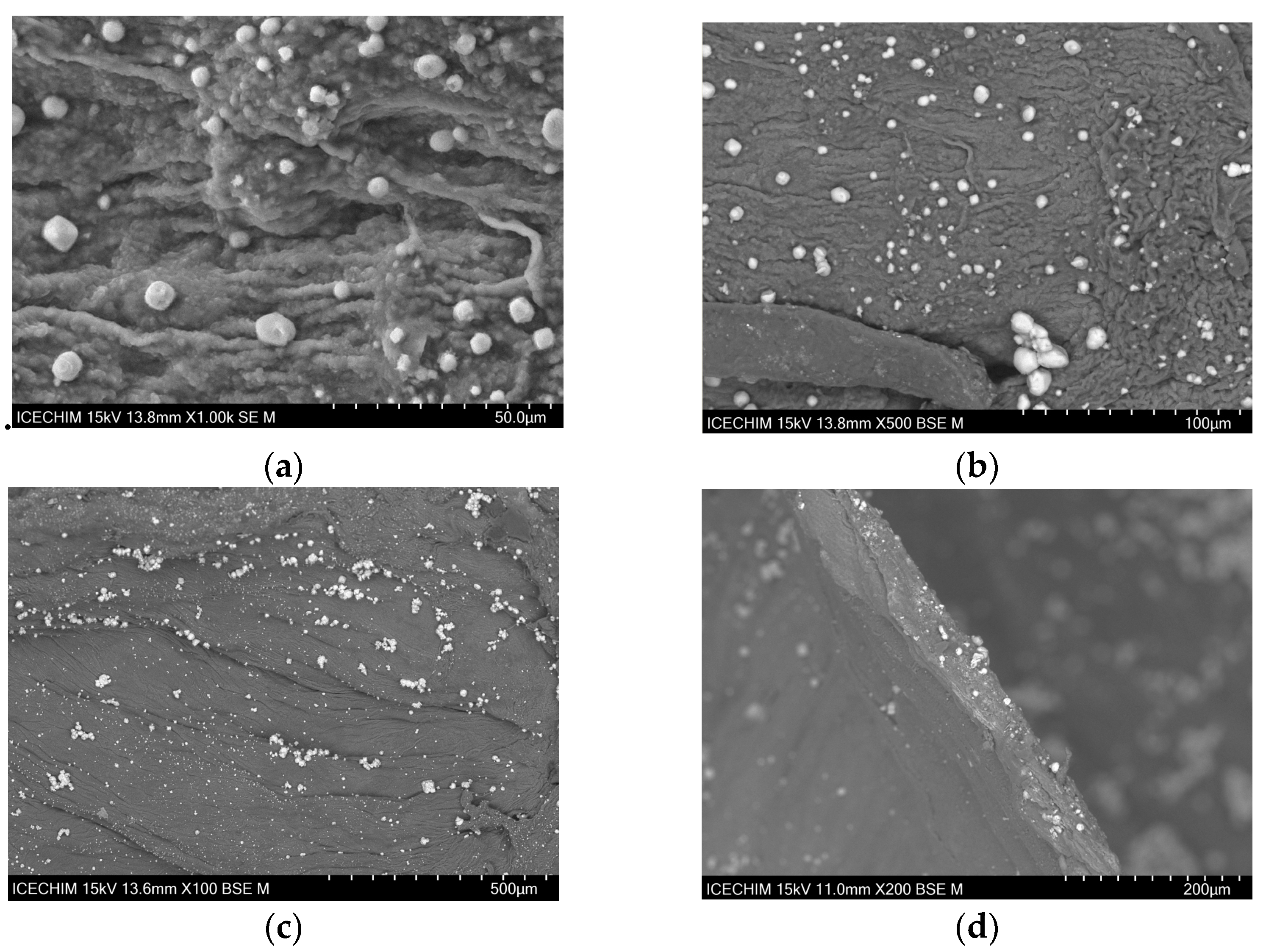 Catalysts 13 01431 g004