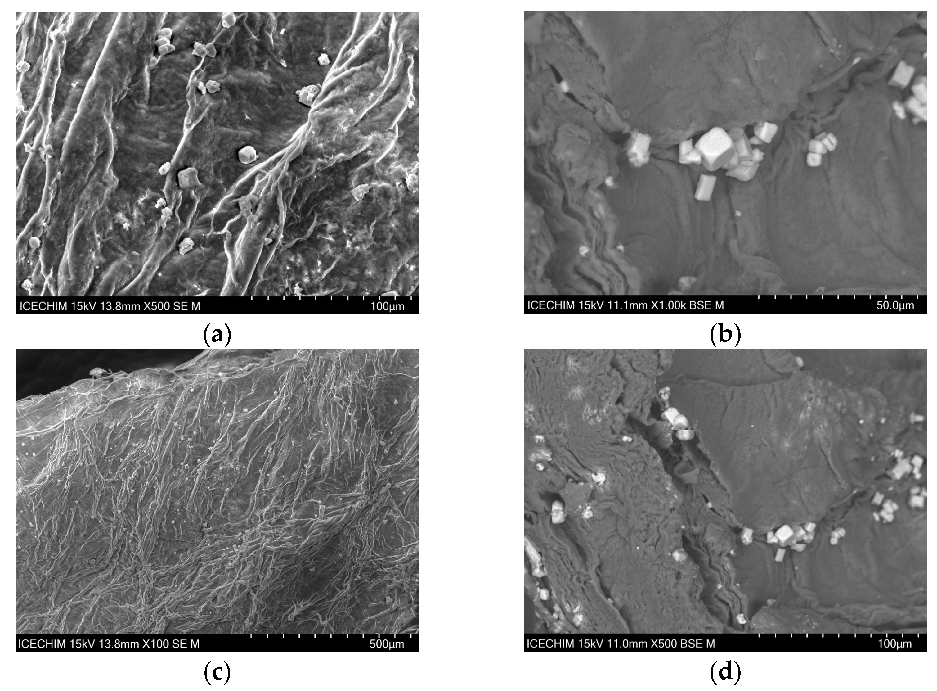 Catalysts 13 01431 g005