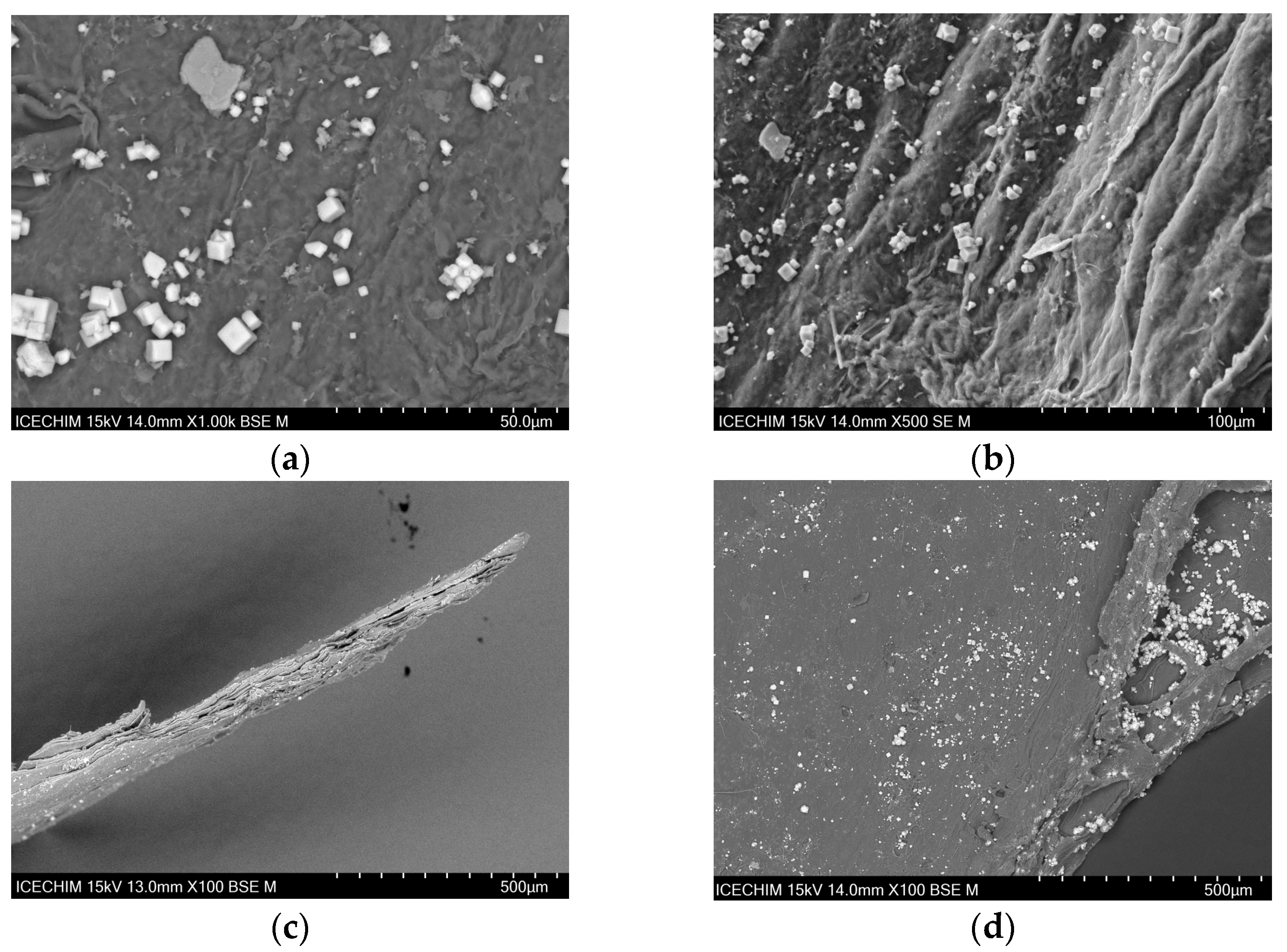 Catalysts 13 01431 g006