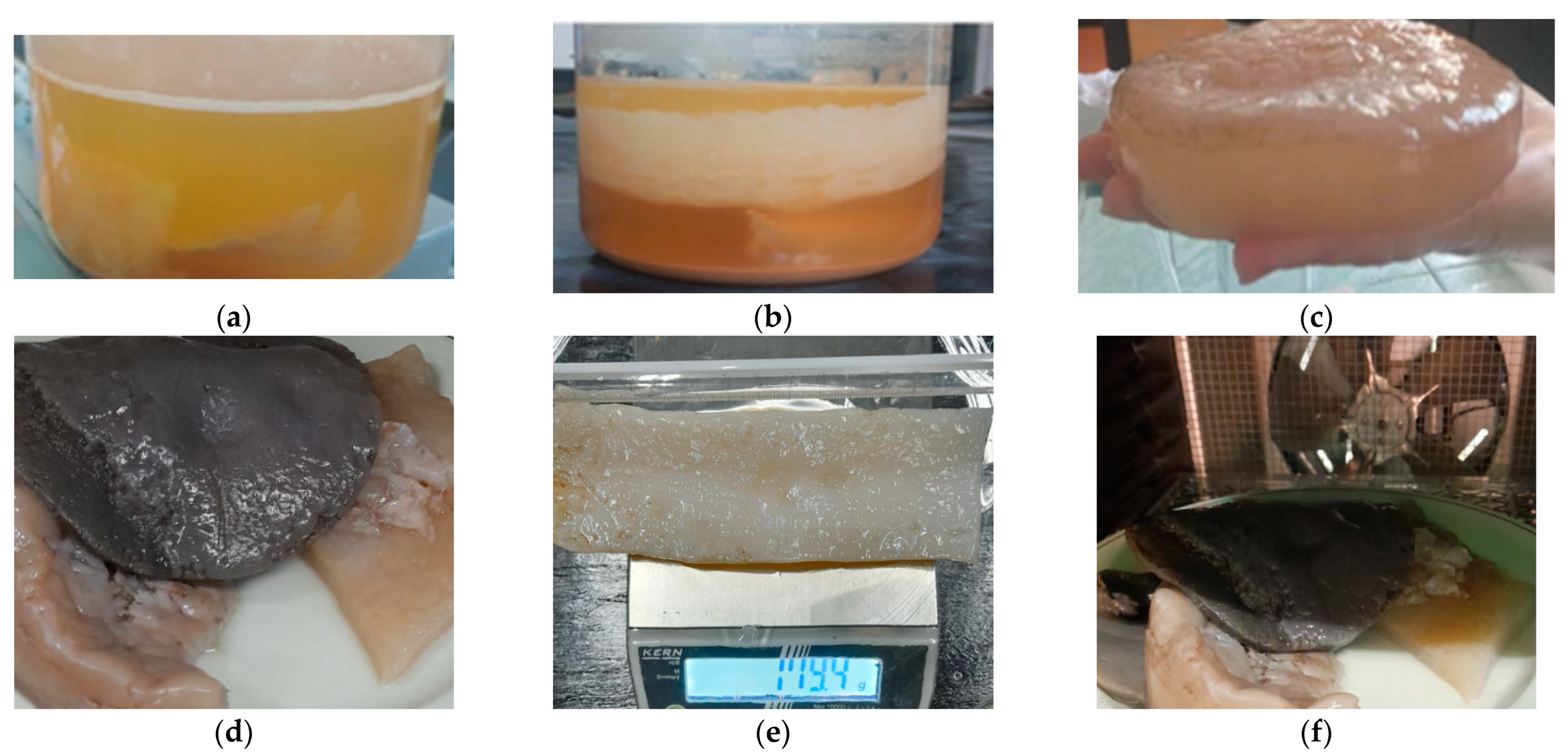 Catalysts 13 01431 g014