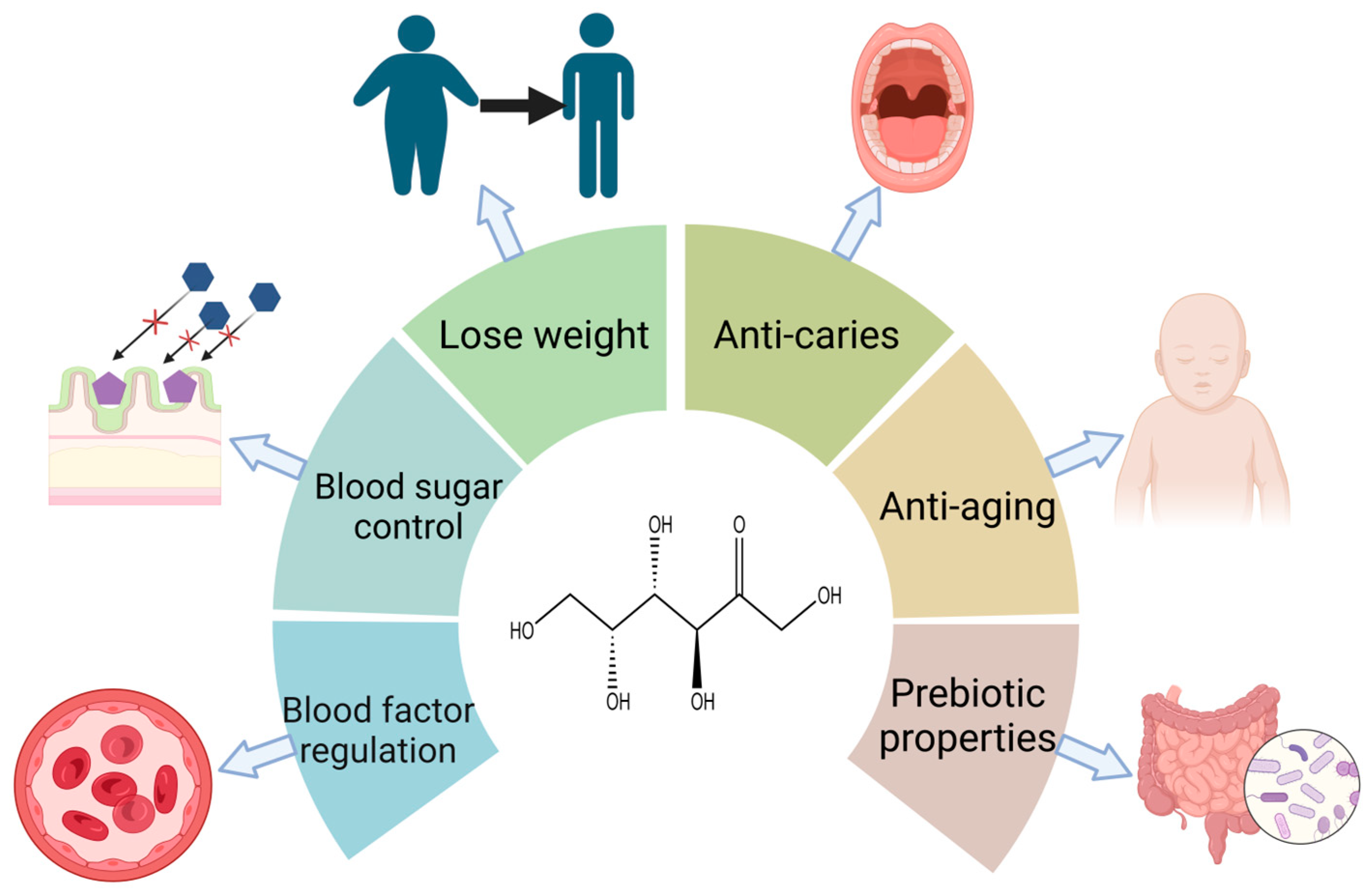 Catalysts 13 01437 g002