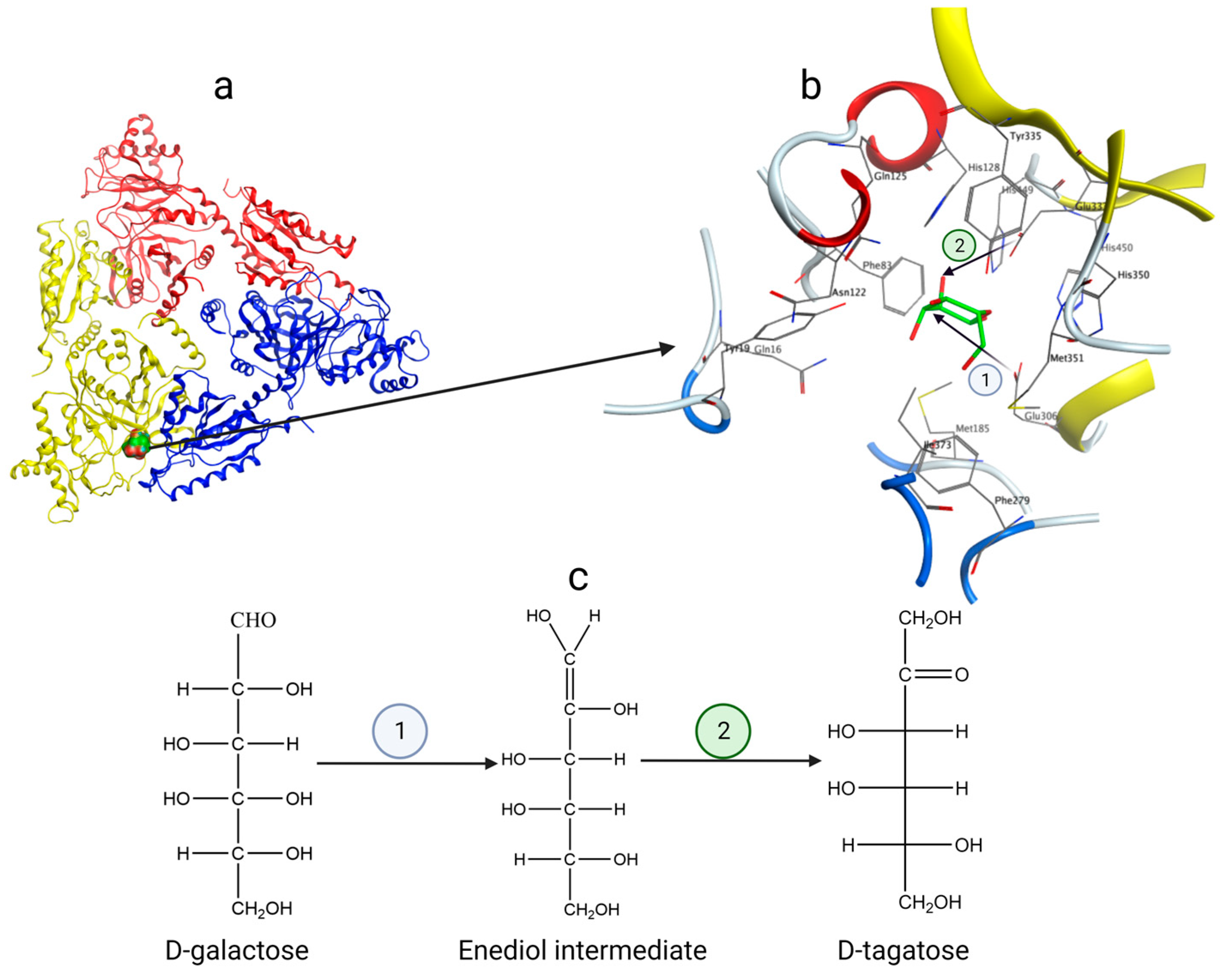 Catalysts 13 01437 g004
