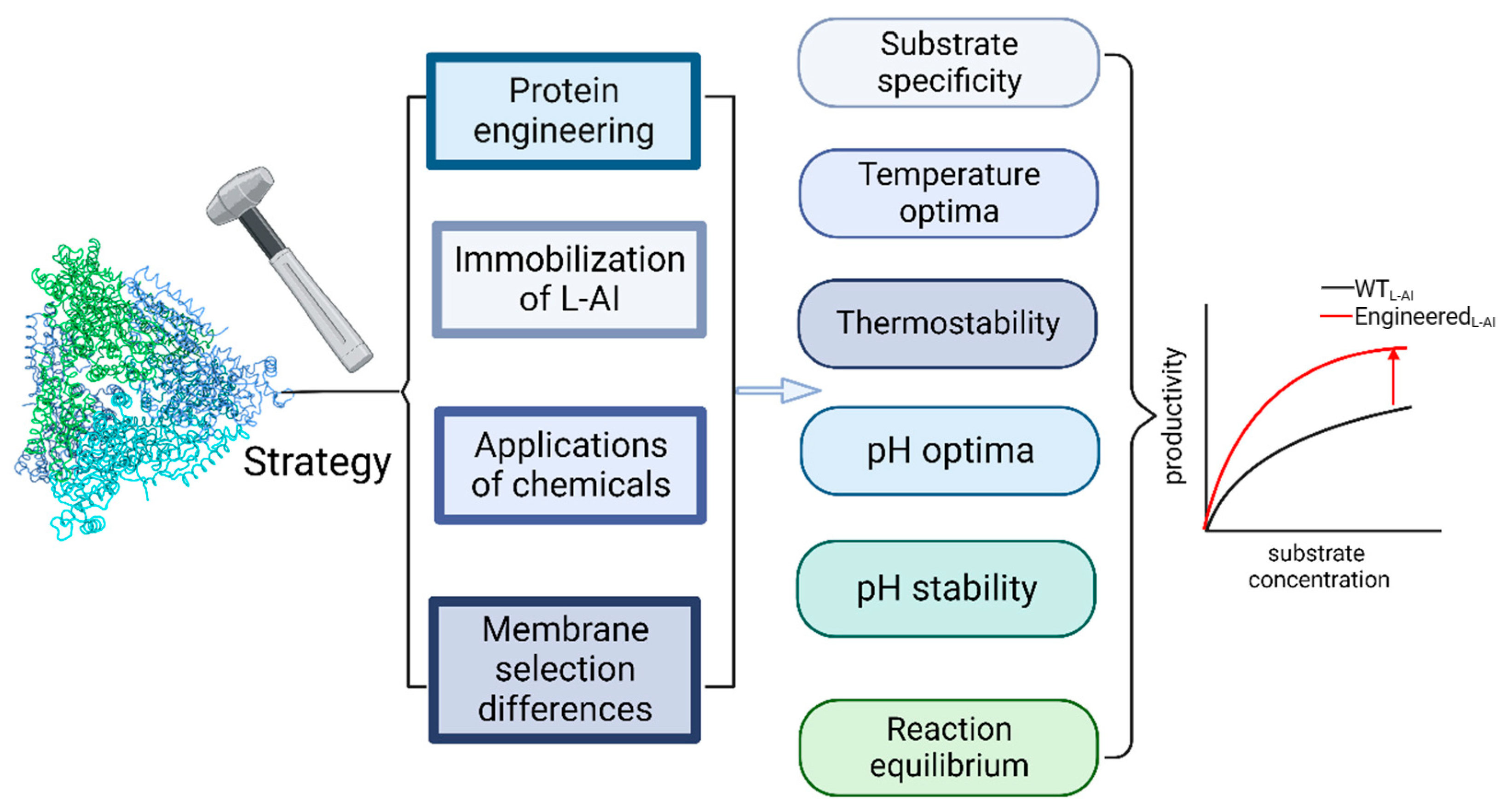 Catalysts 13 01437 g006