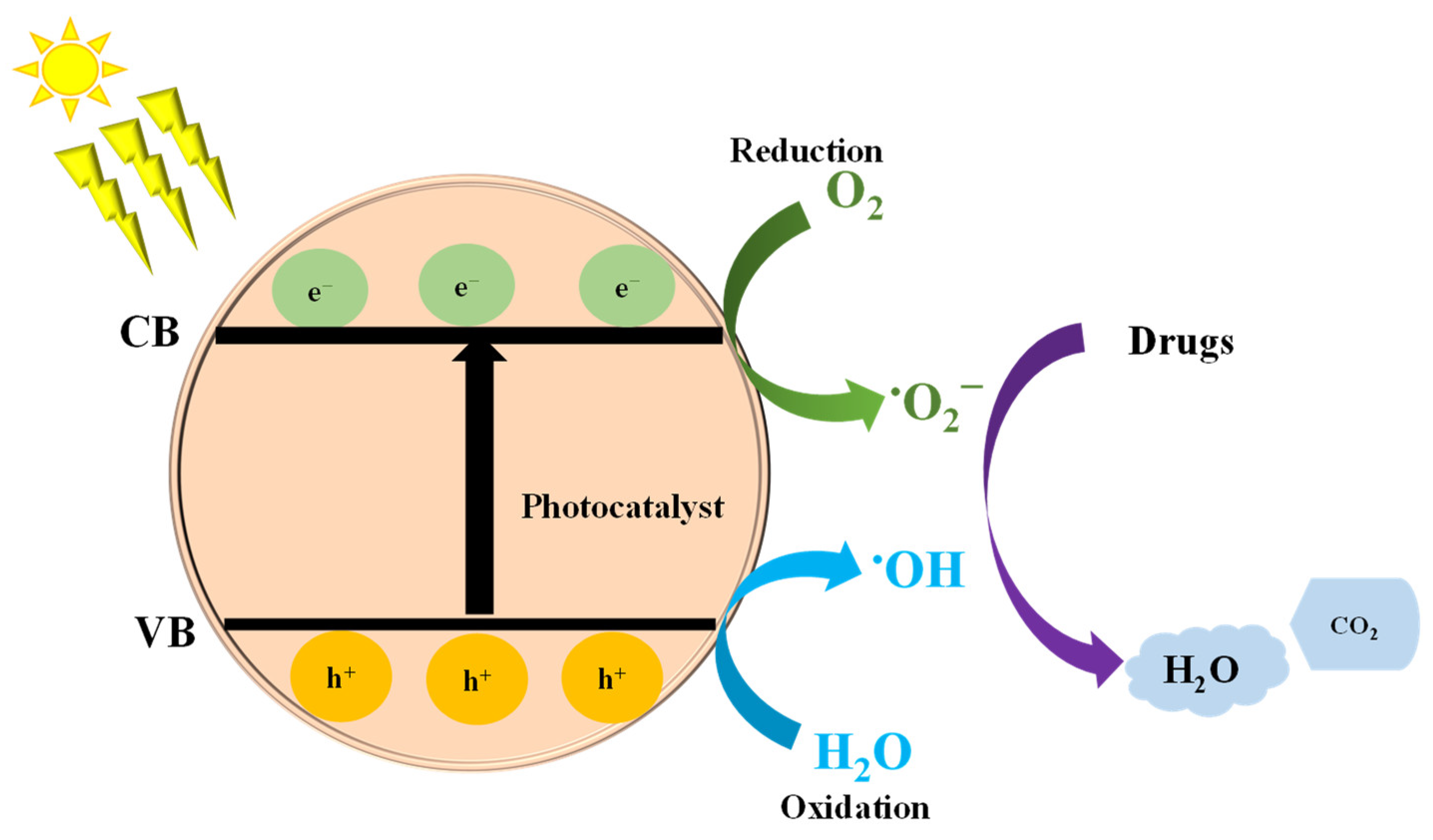 Catalysts | Free Full-Text | Review on Recent Advances in the Removal ...