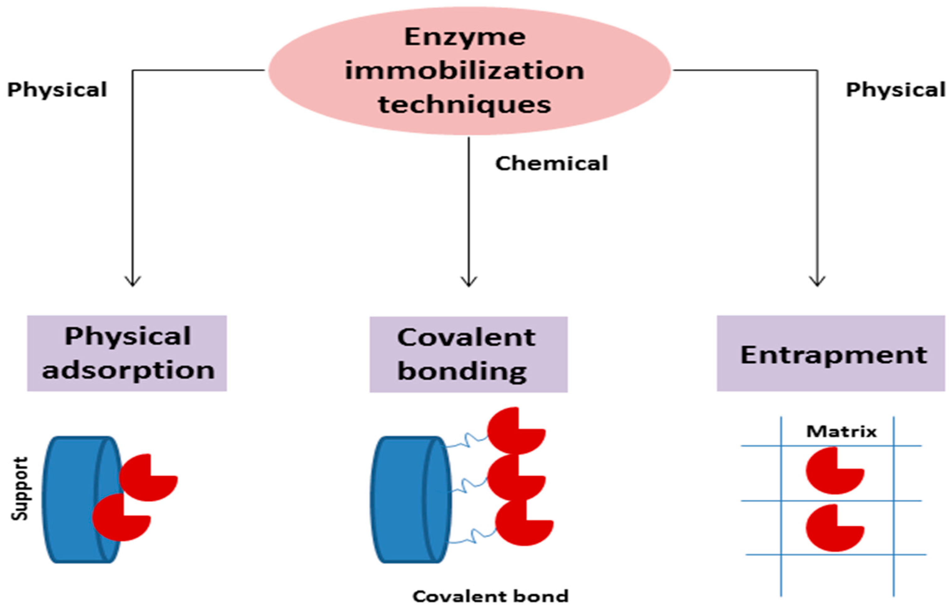 Catalysts 13 01448 g001 Catalysts 13 01448 g001