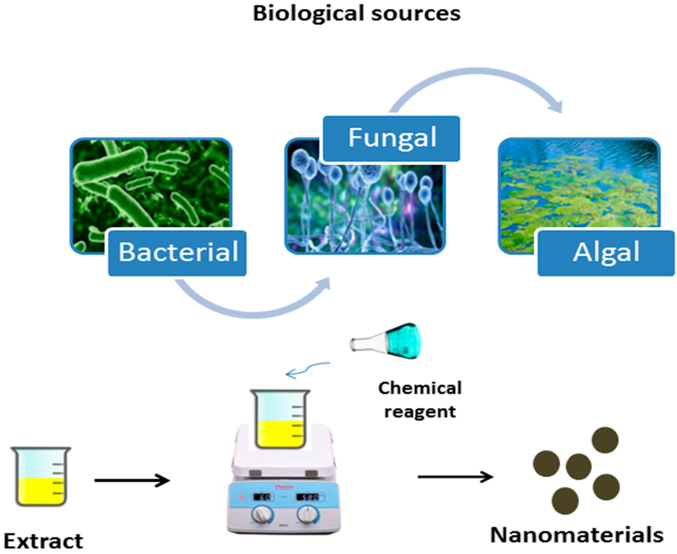 Catalysts 13 01448 g002 Catalysts 13 01448 g002