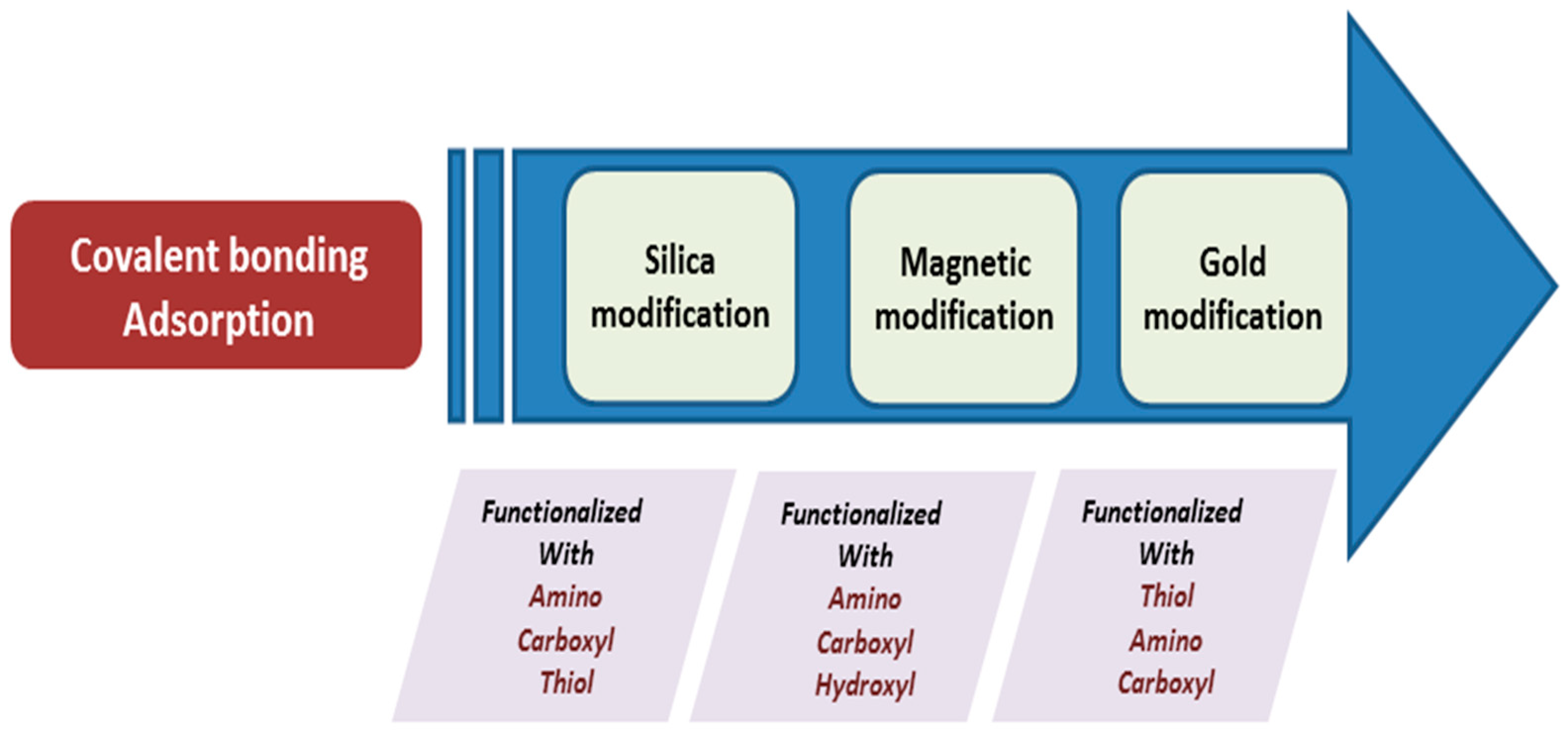 Catalysts 13 01448 g003 Catalysts 13 01448 g003