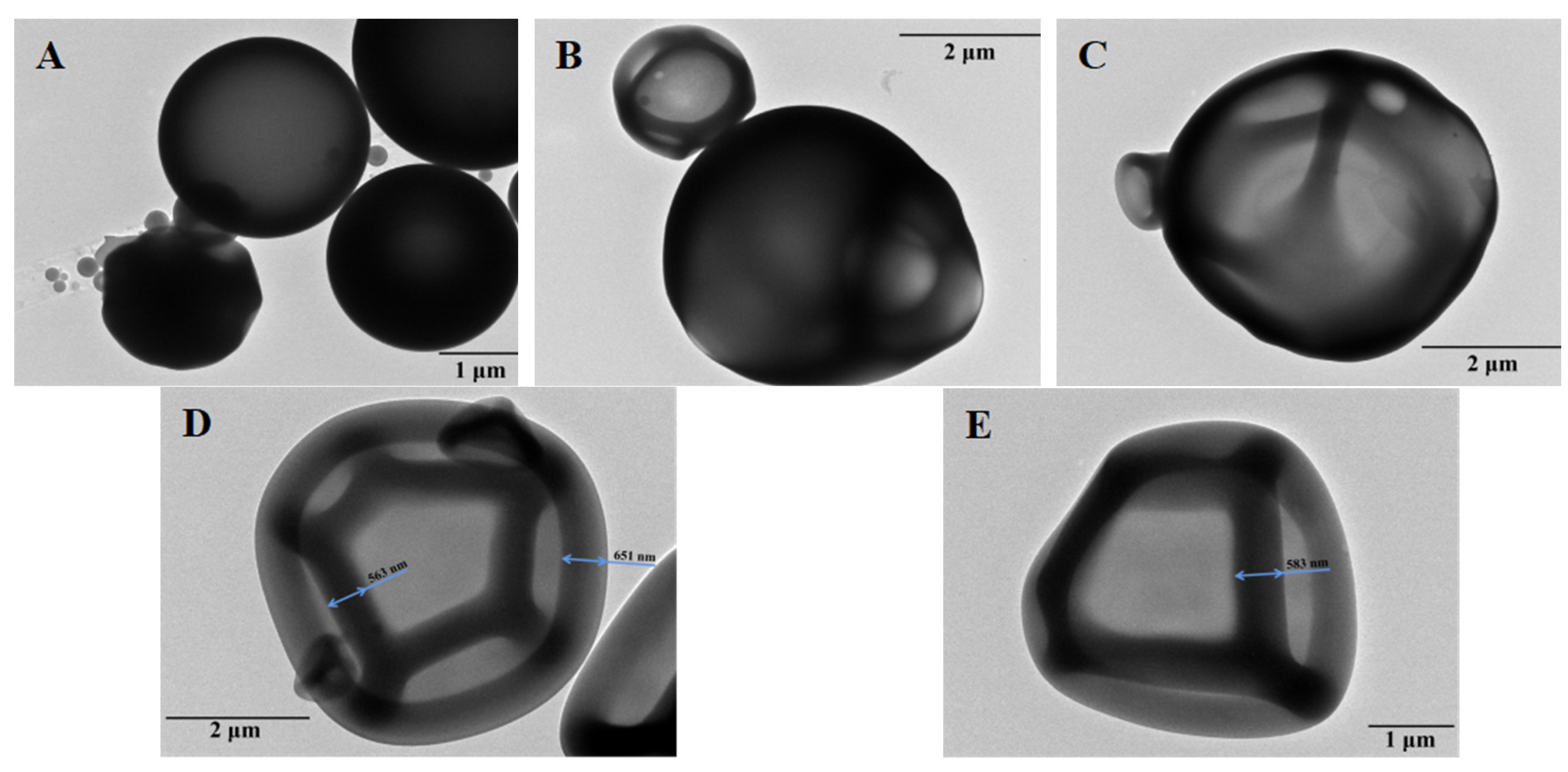 Catalysts 13 01460 g002