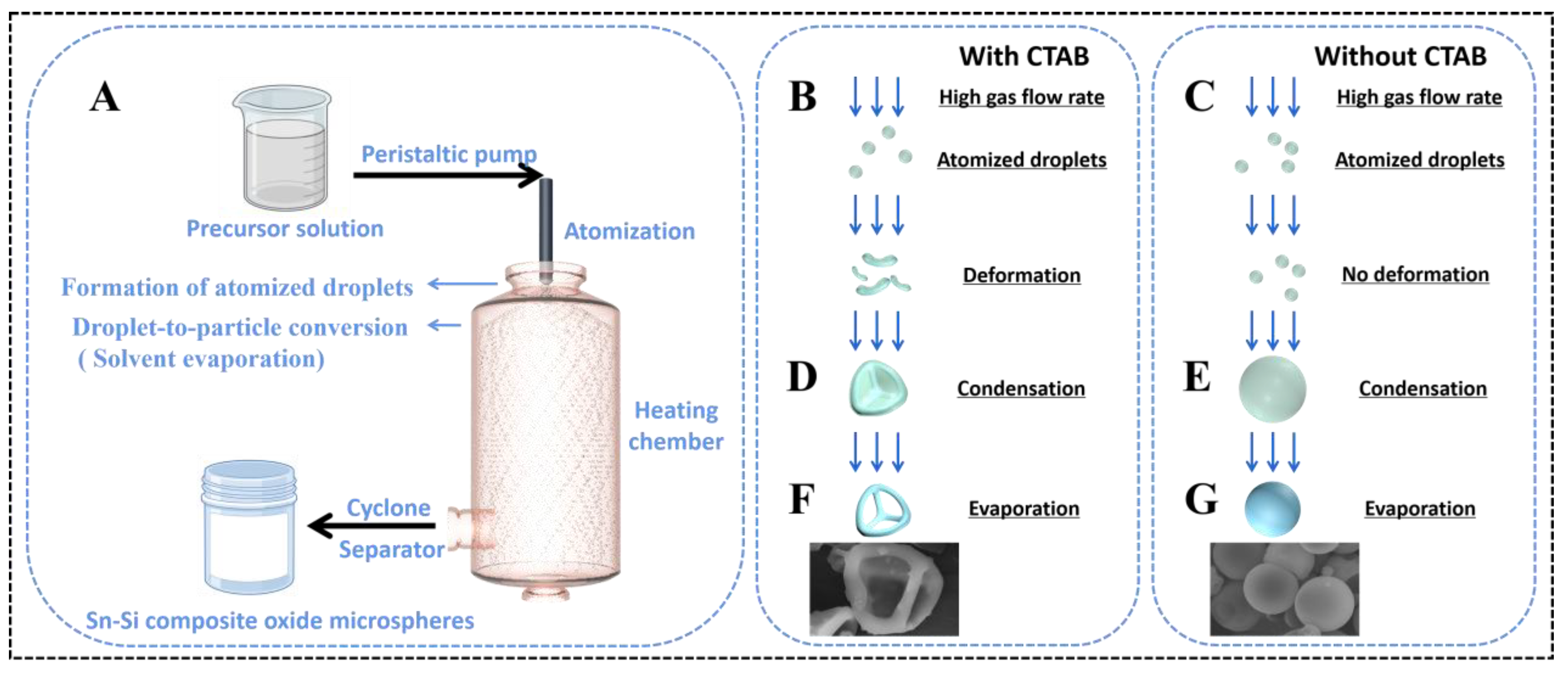 Catalysts 13 01460 g006