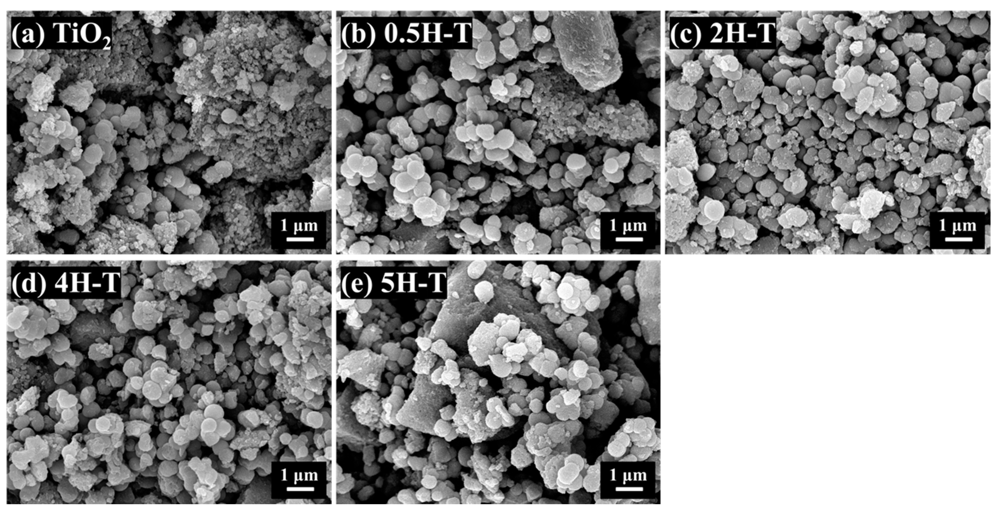 Catalysts 13 01481 g001 Catalysts 13 01481 g001