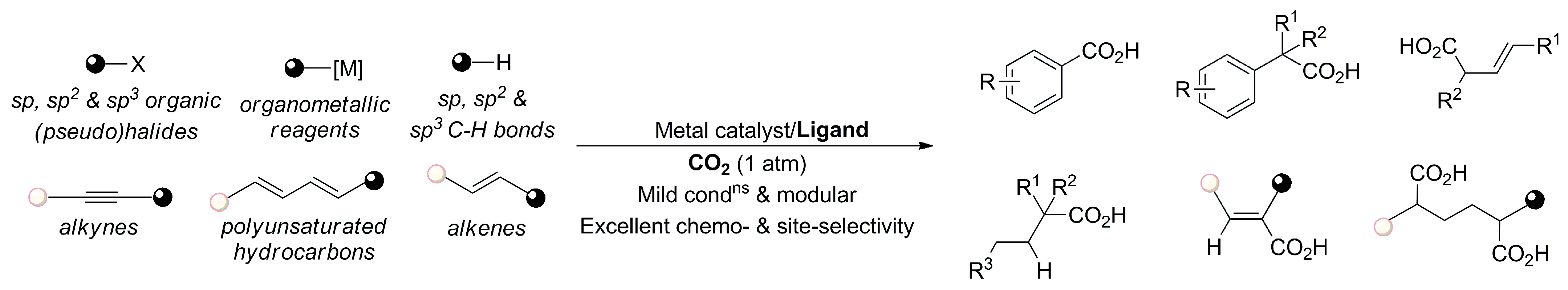 Catalysts 13 01489 sch002