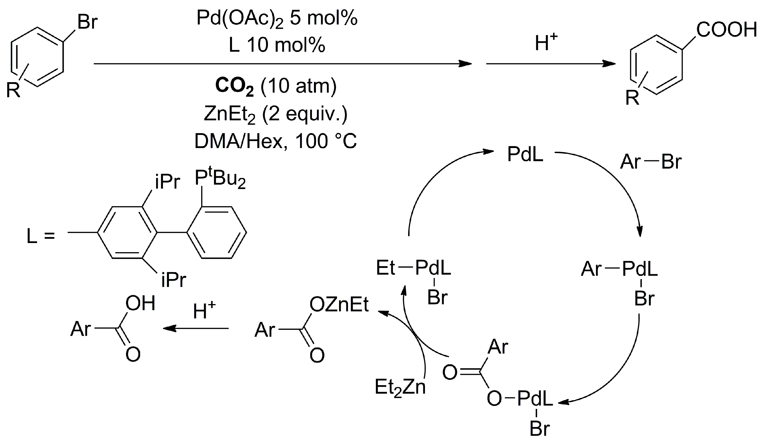 Catalysts 13 01489 sch003