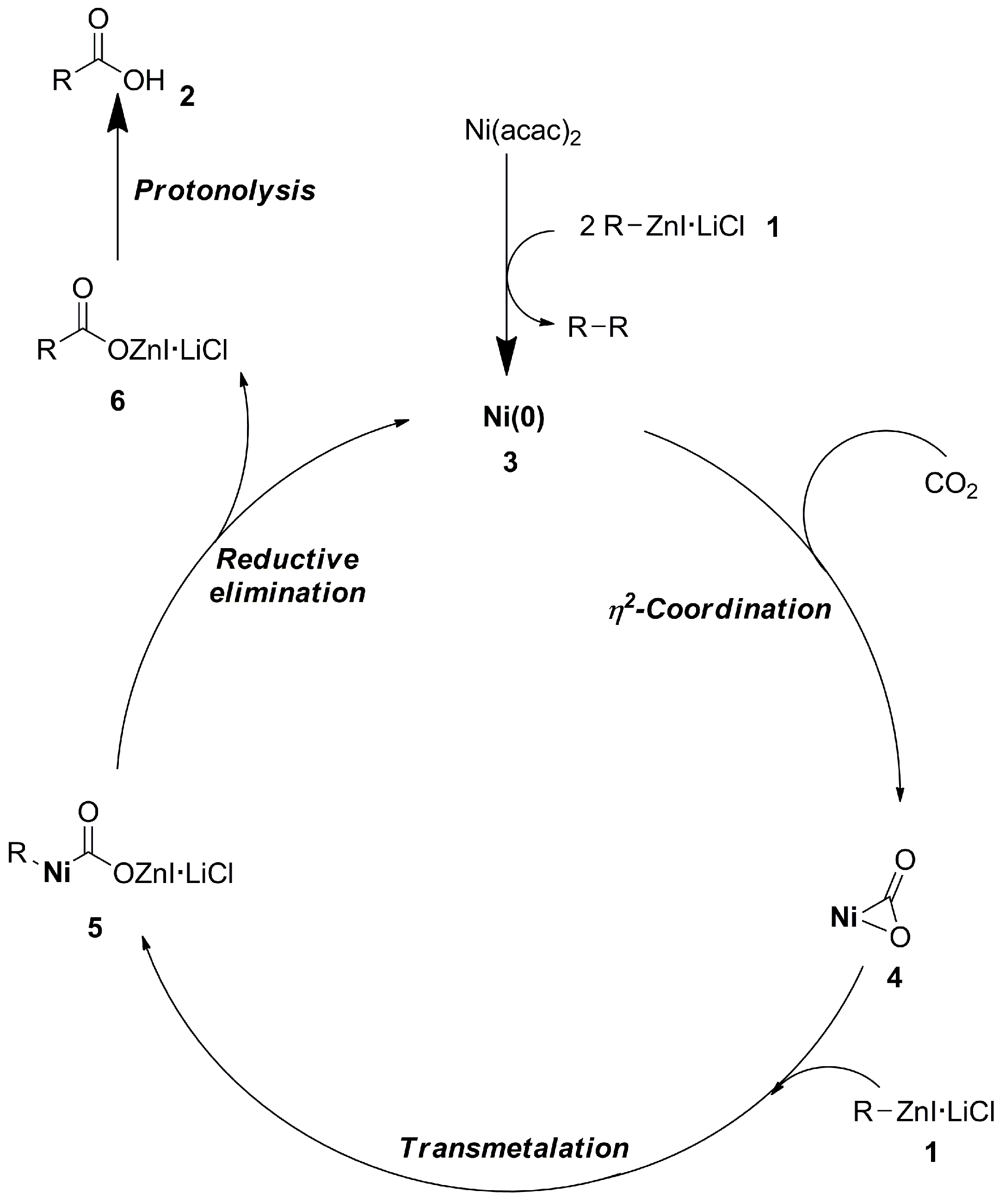 Catalysts 13 01489 sch007