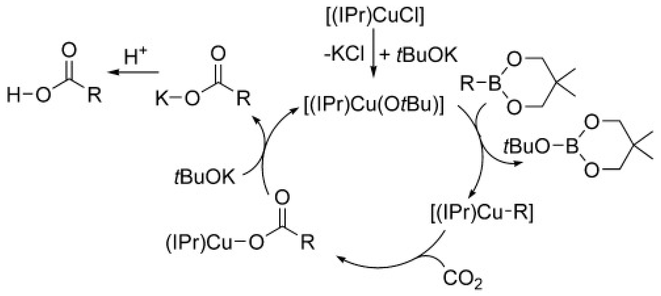 Catalysts 13 01489 sch008