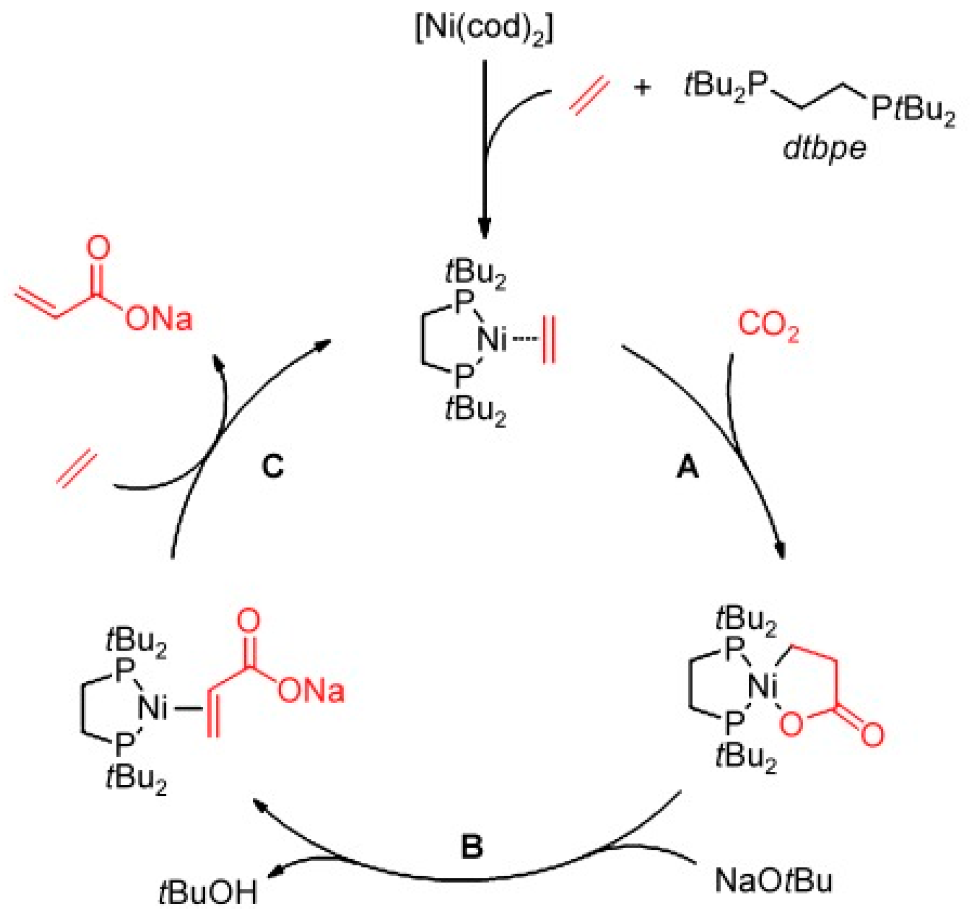 Catalysts 13 01489 sch013