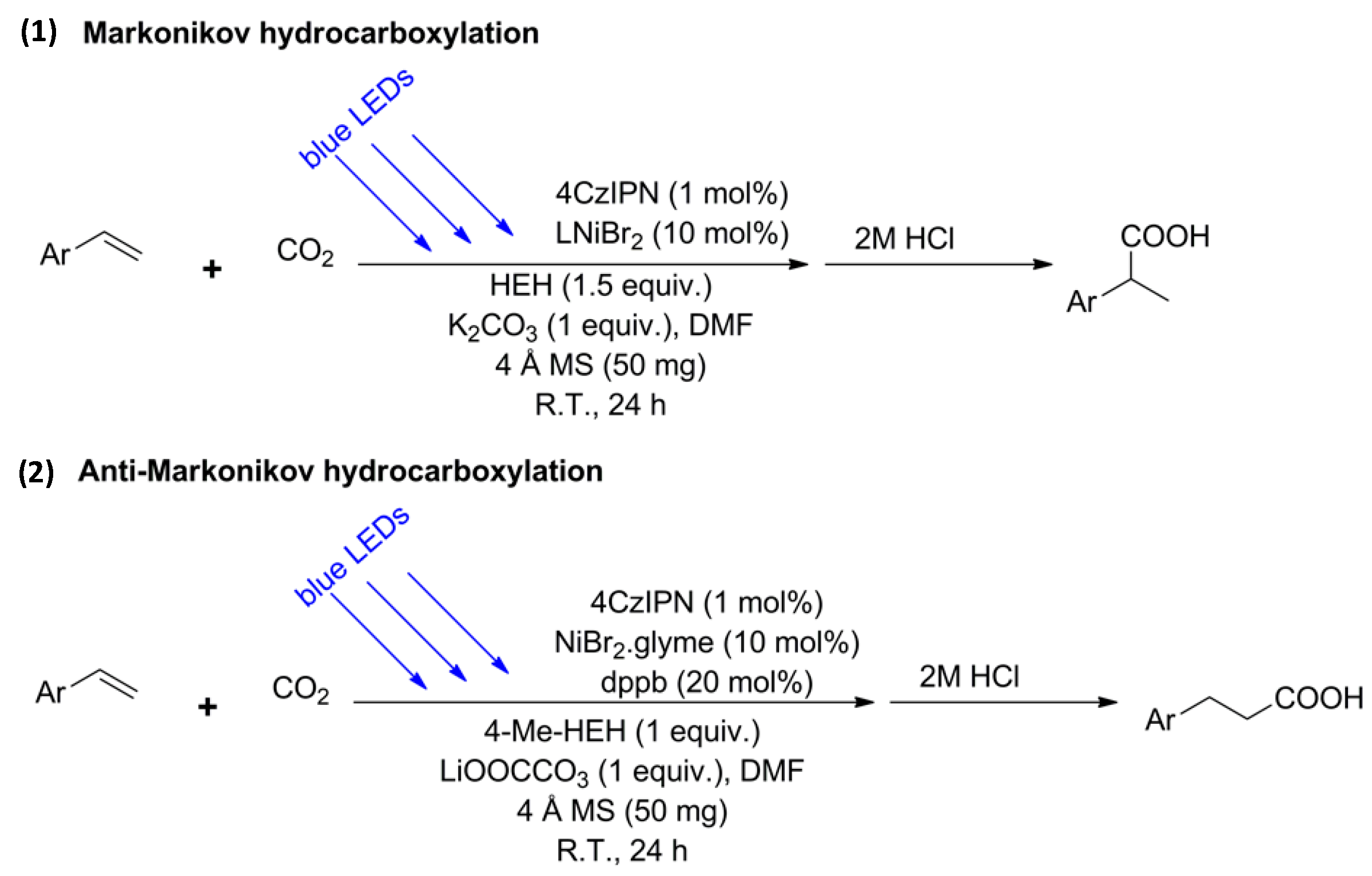 Catalysts 13 01489 sch016
