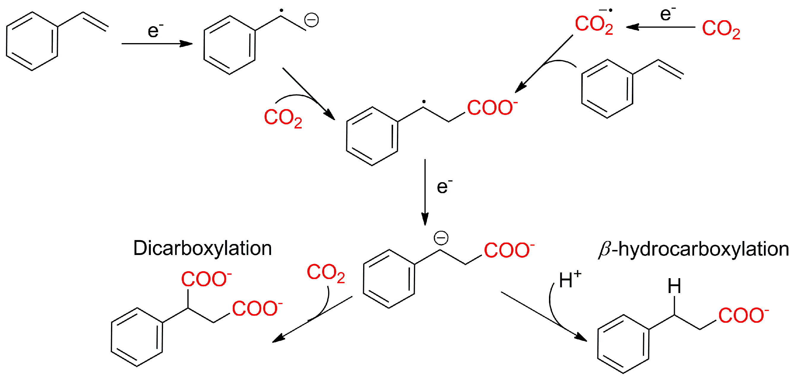 Catalysts 13 01489 sch018