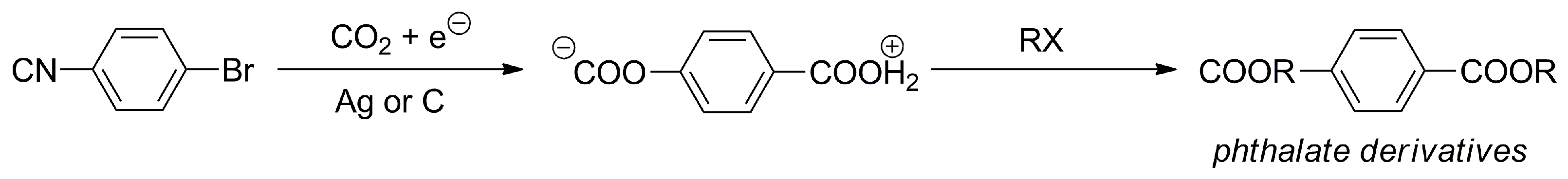 Catalysts 13 01489 sch020