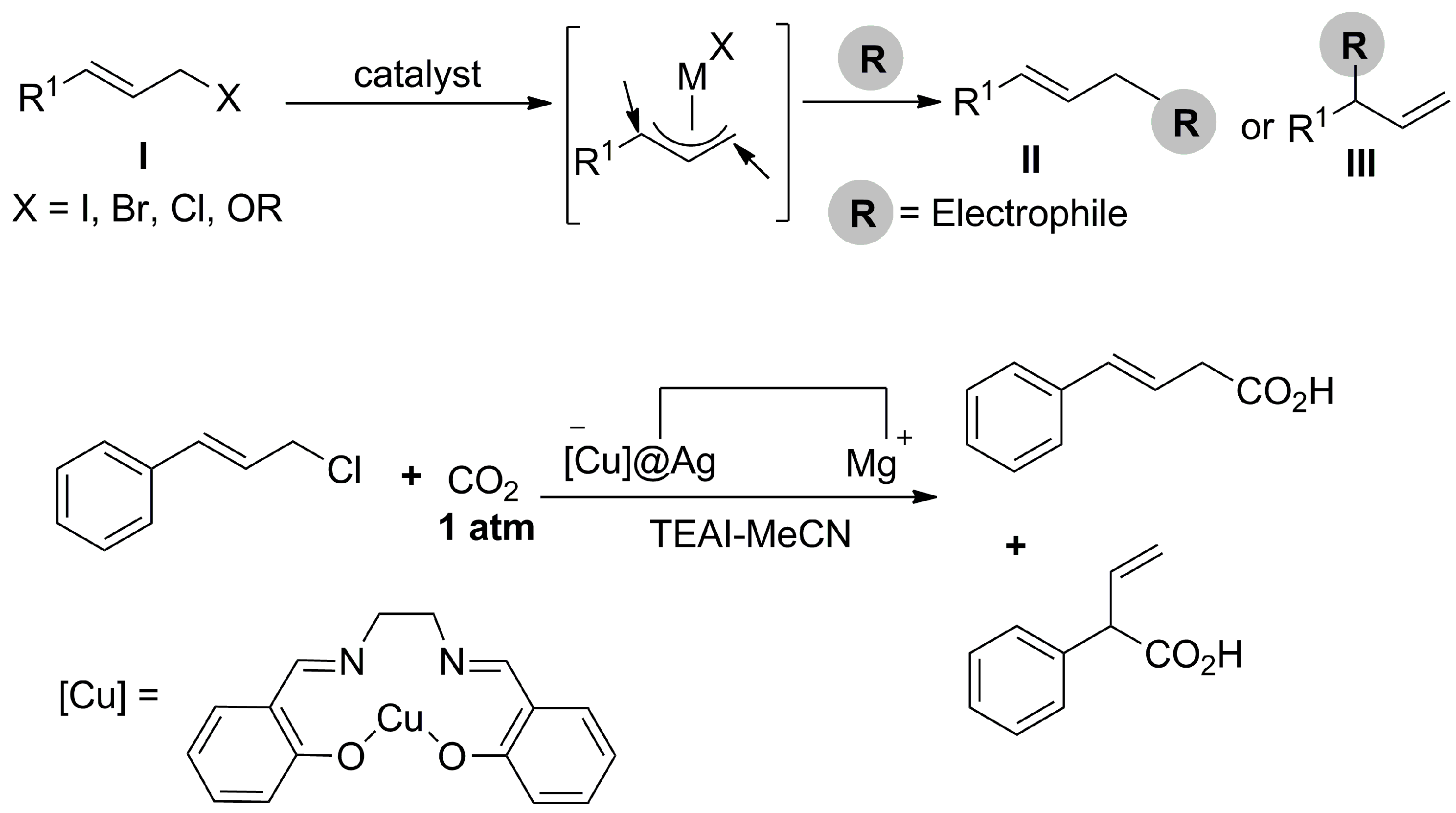 Catalysts 13 01489 sch022