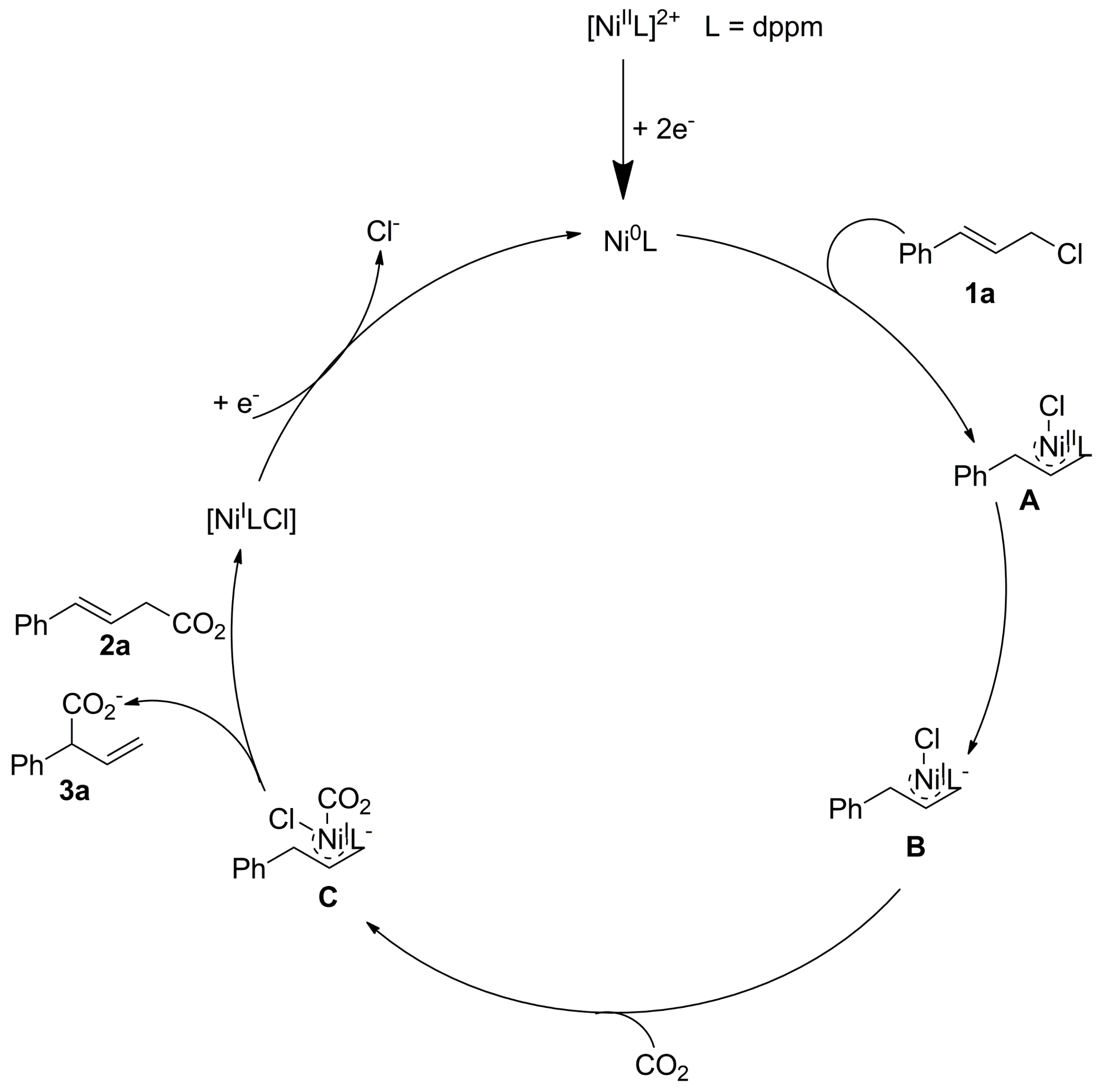 Catalysts 13 01489 sch023
