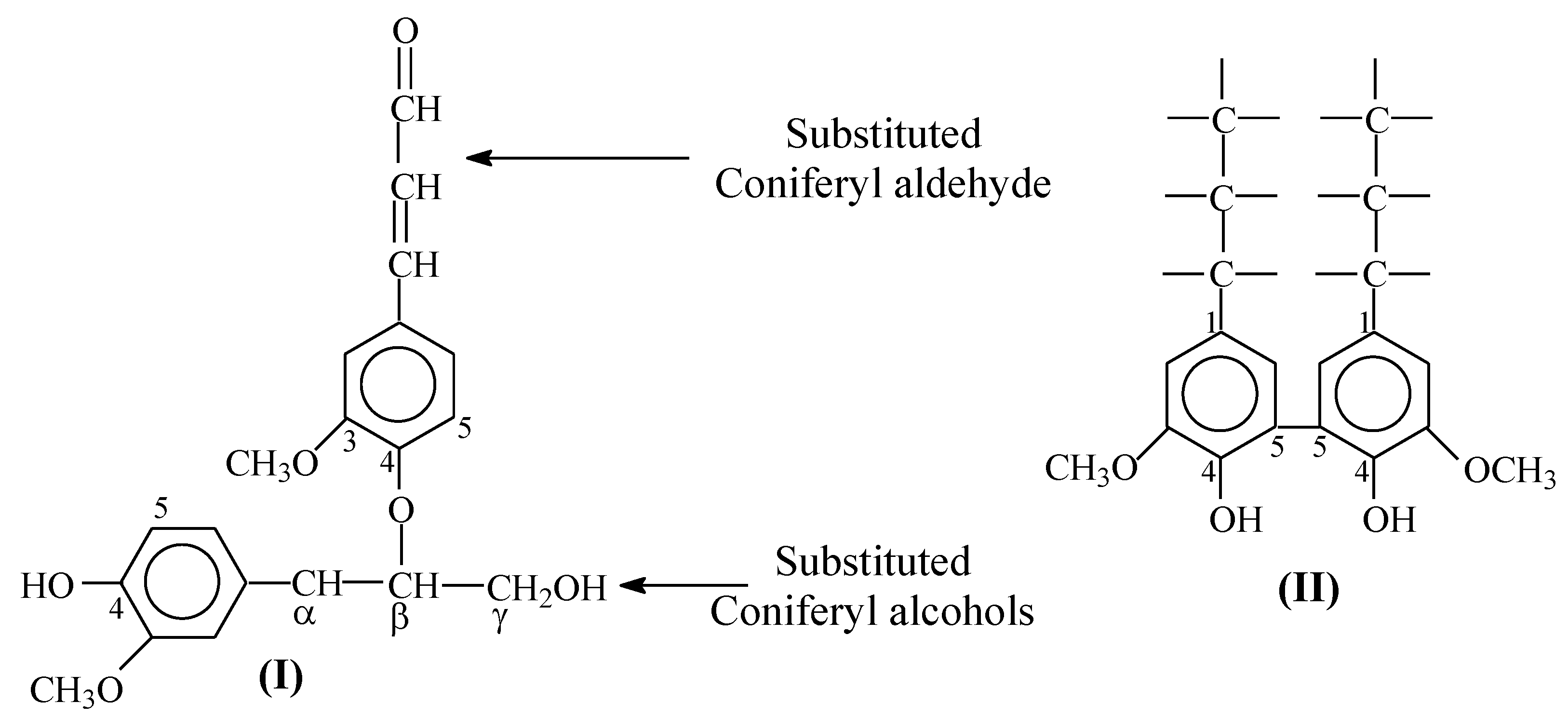 Catalysts 13 01490 g001