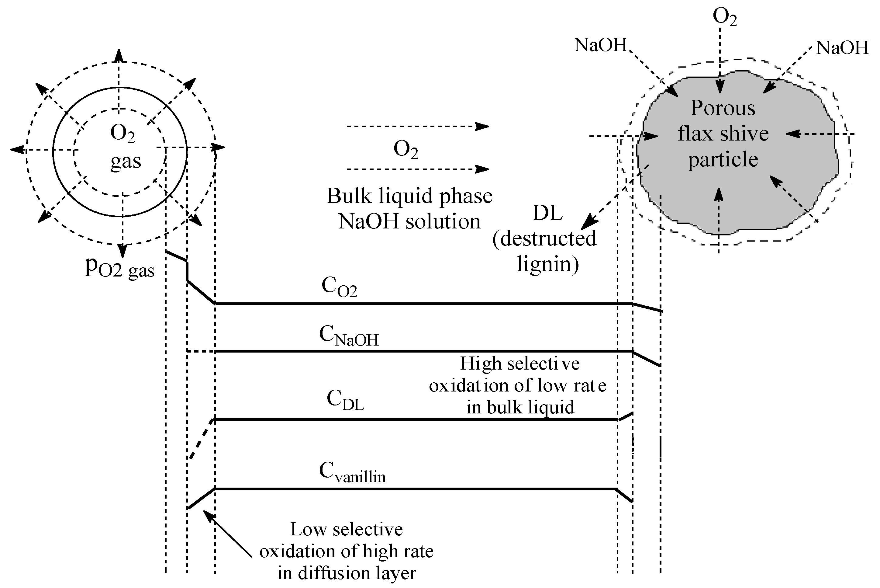 Catalysts 13 01490 g003