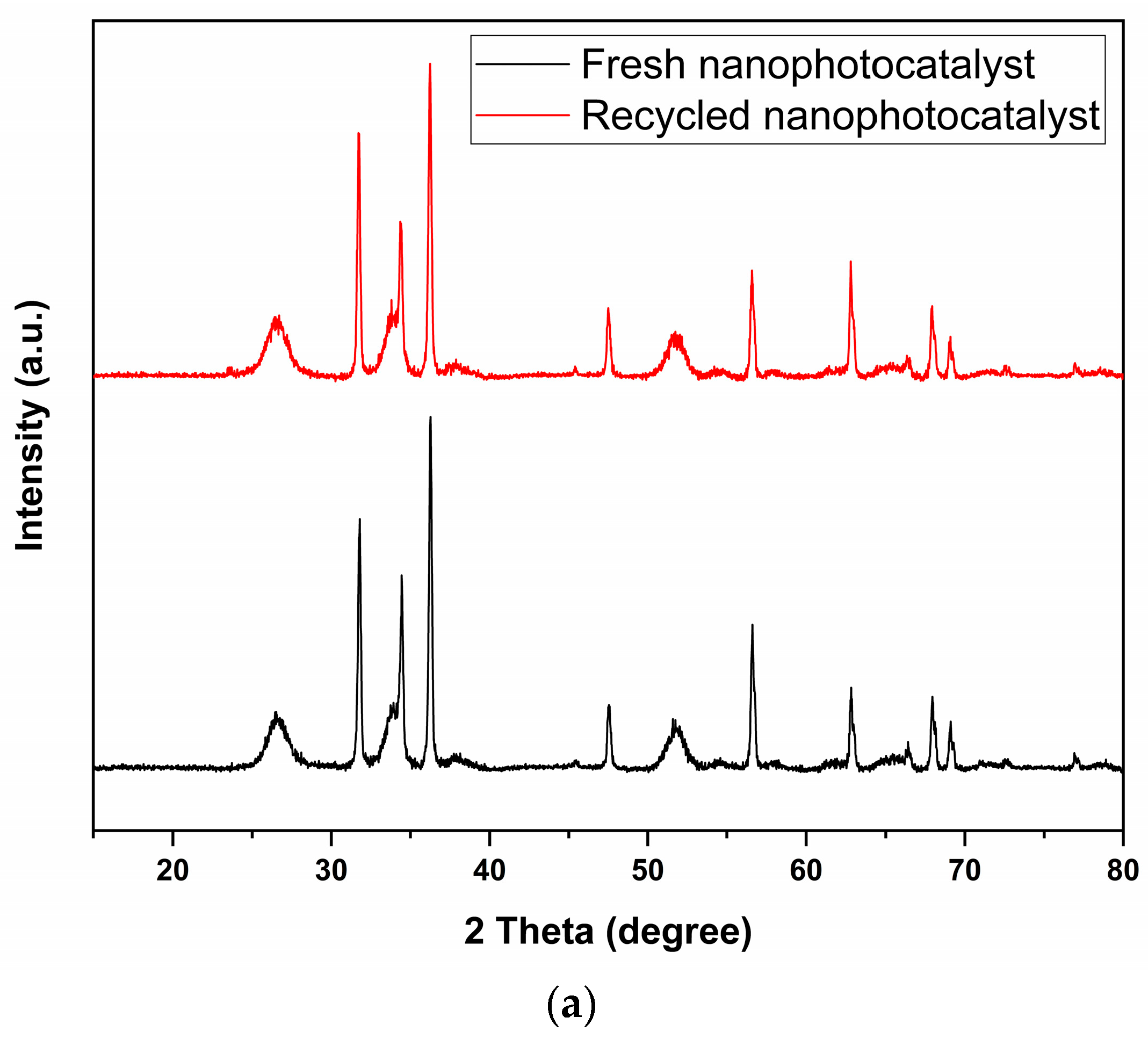 Catalysts 13 01509 g012a