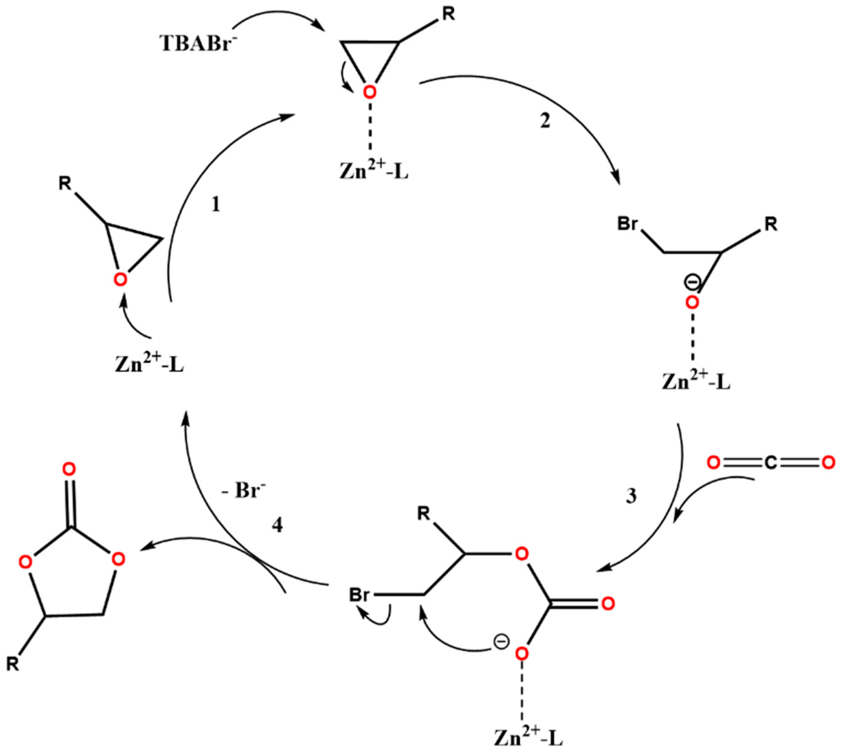 Catalysts 14 00006 g005