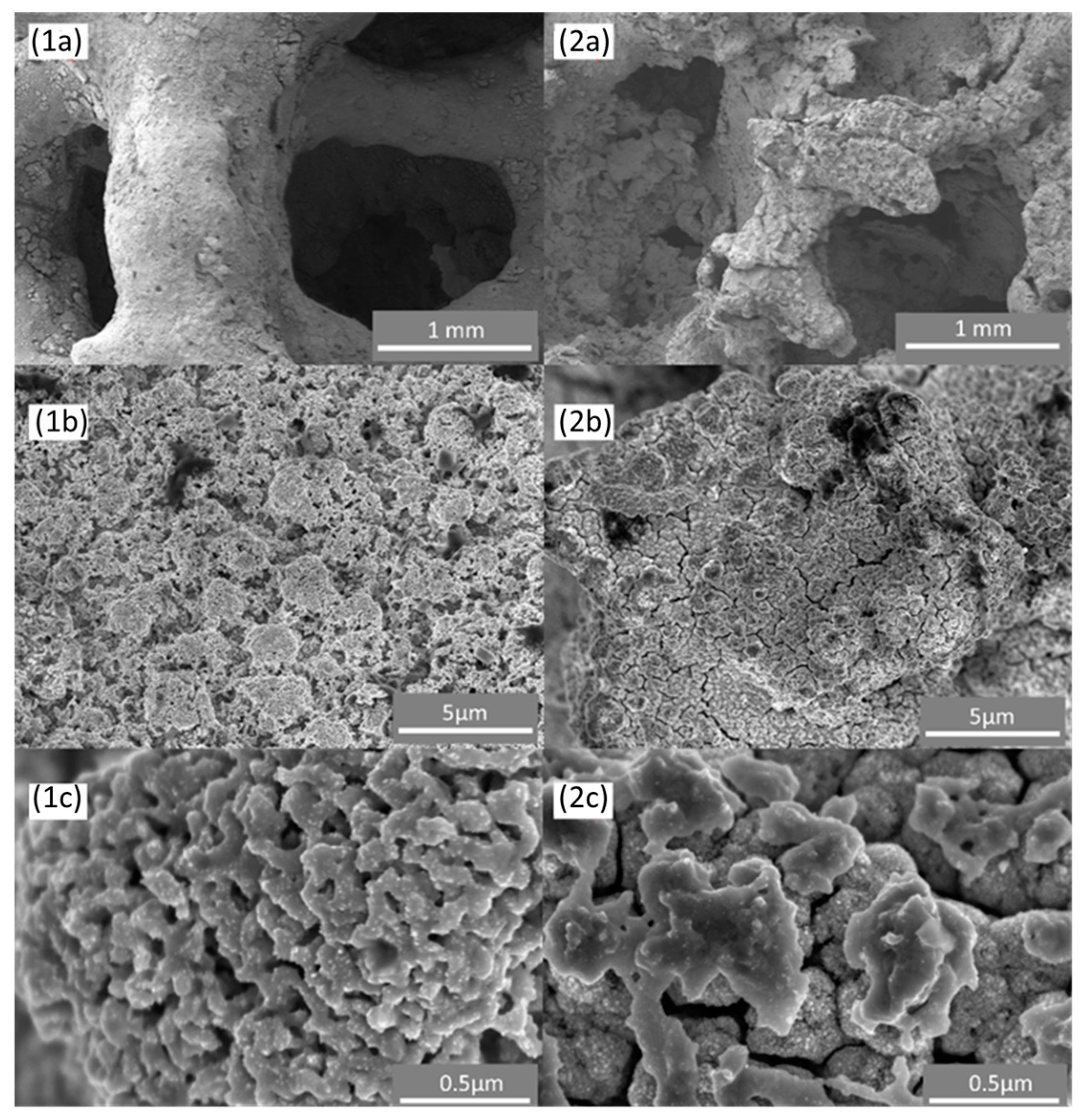 Catalysts 14 00011 g006