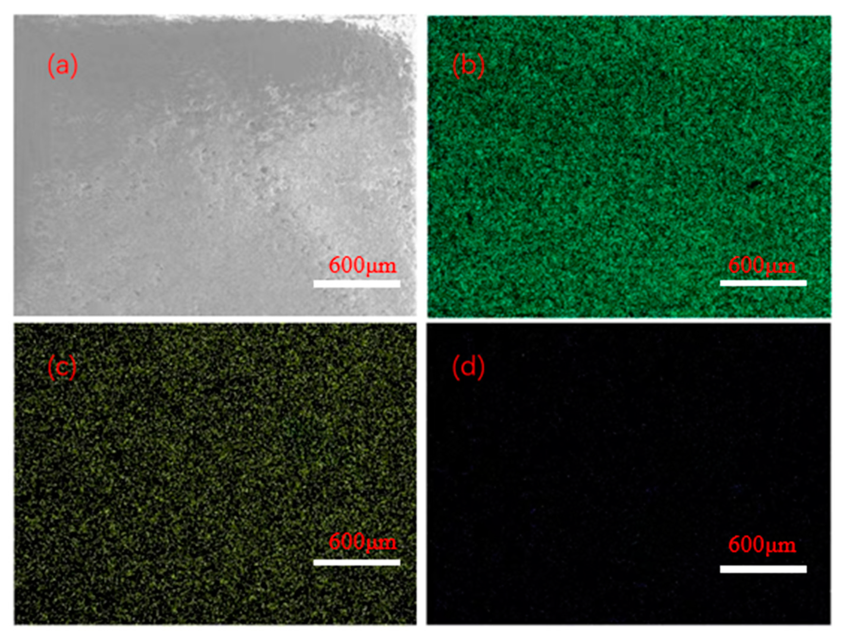 Catalysts 14 00029 g001