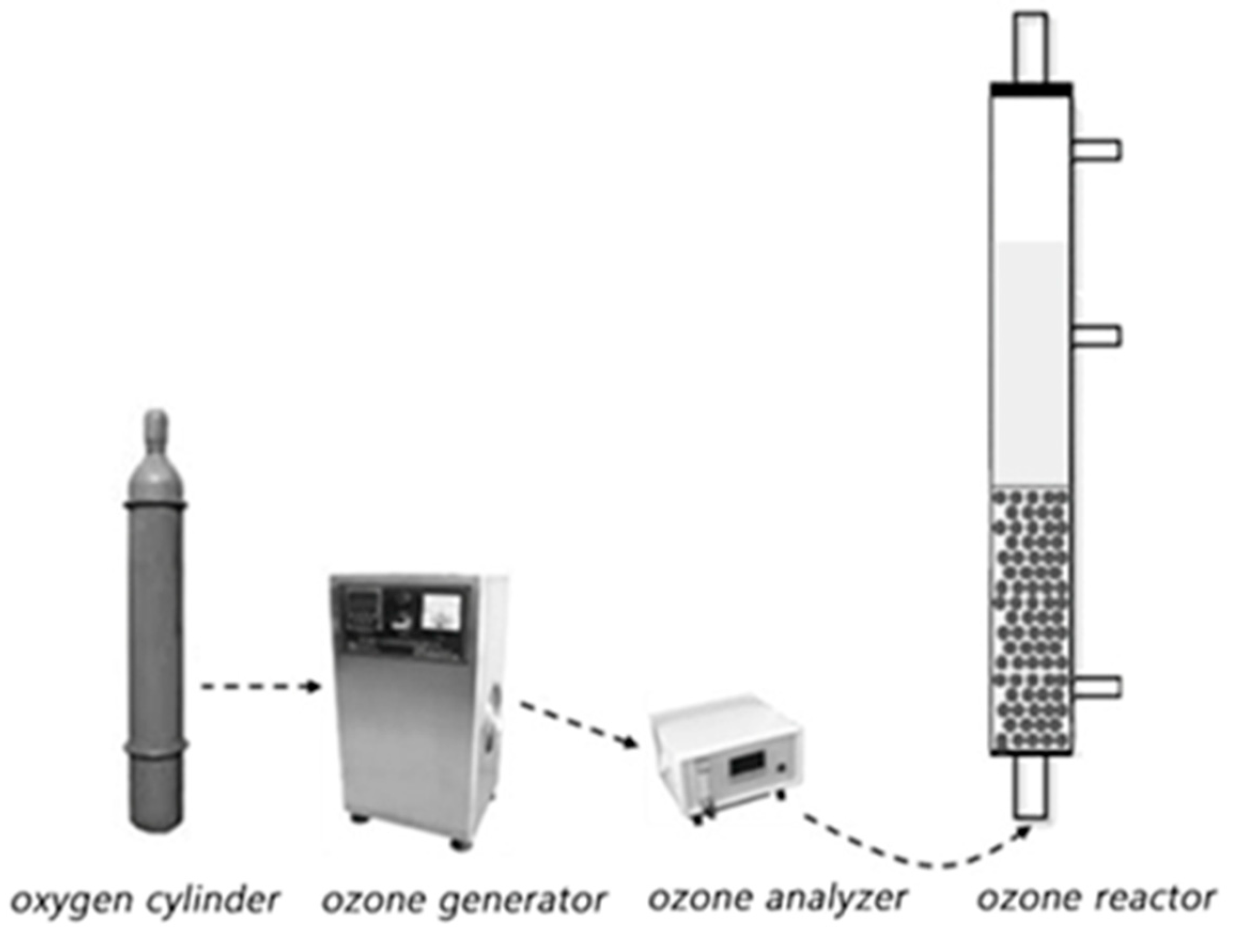 Catalysts 14 00029 g011