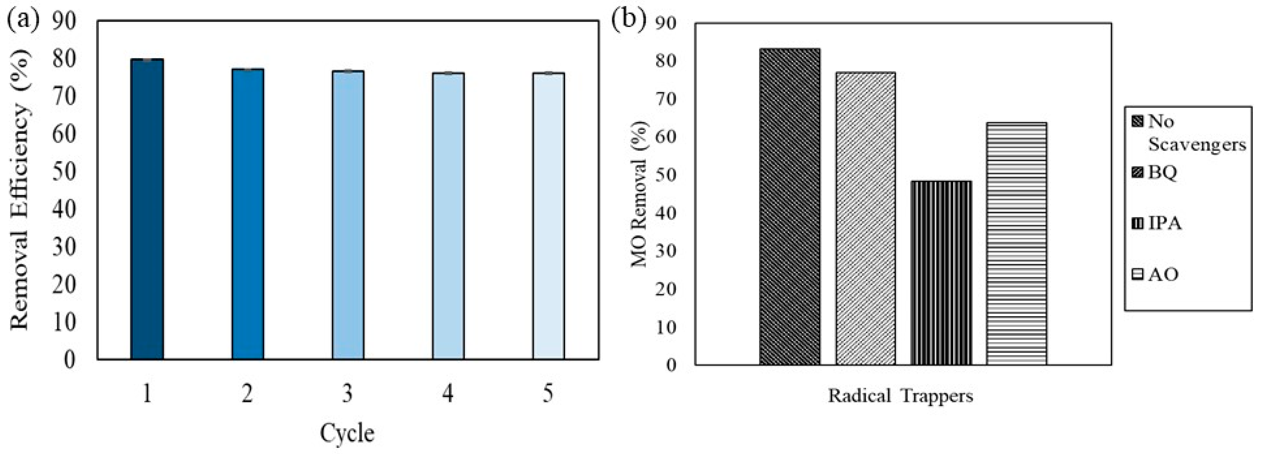 Catalysts 14 00043 g010