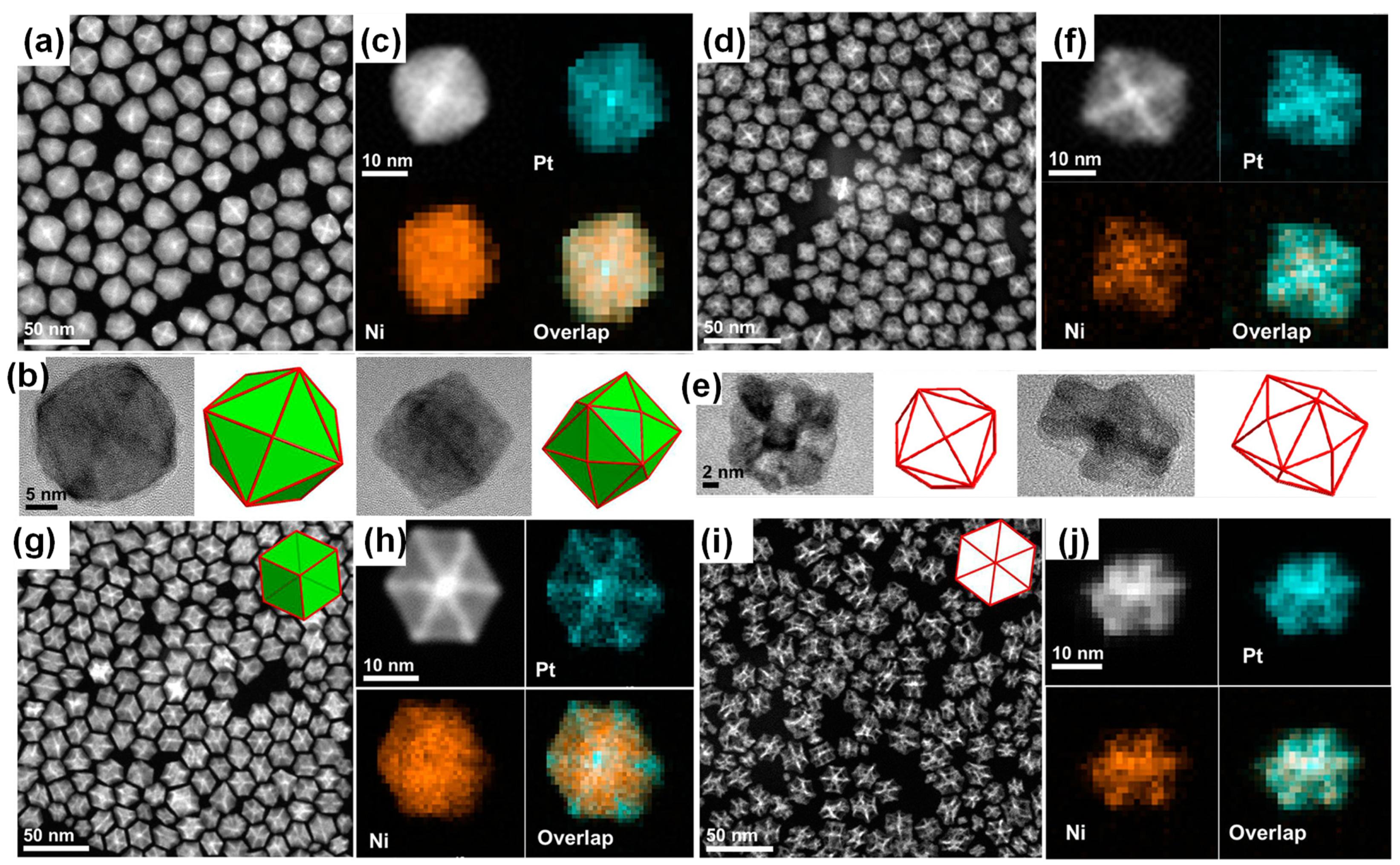 Catalysts 14 00060 g005