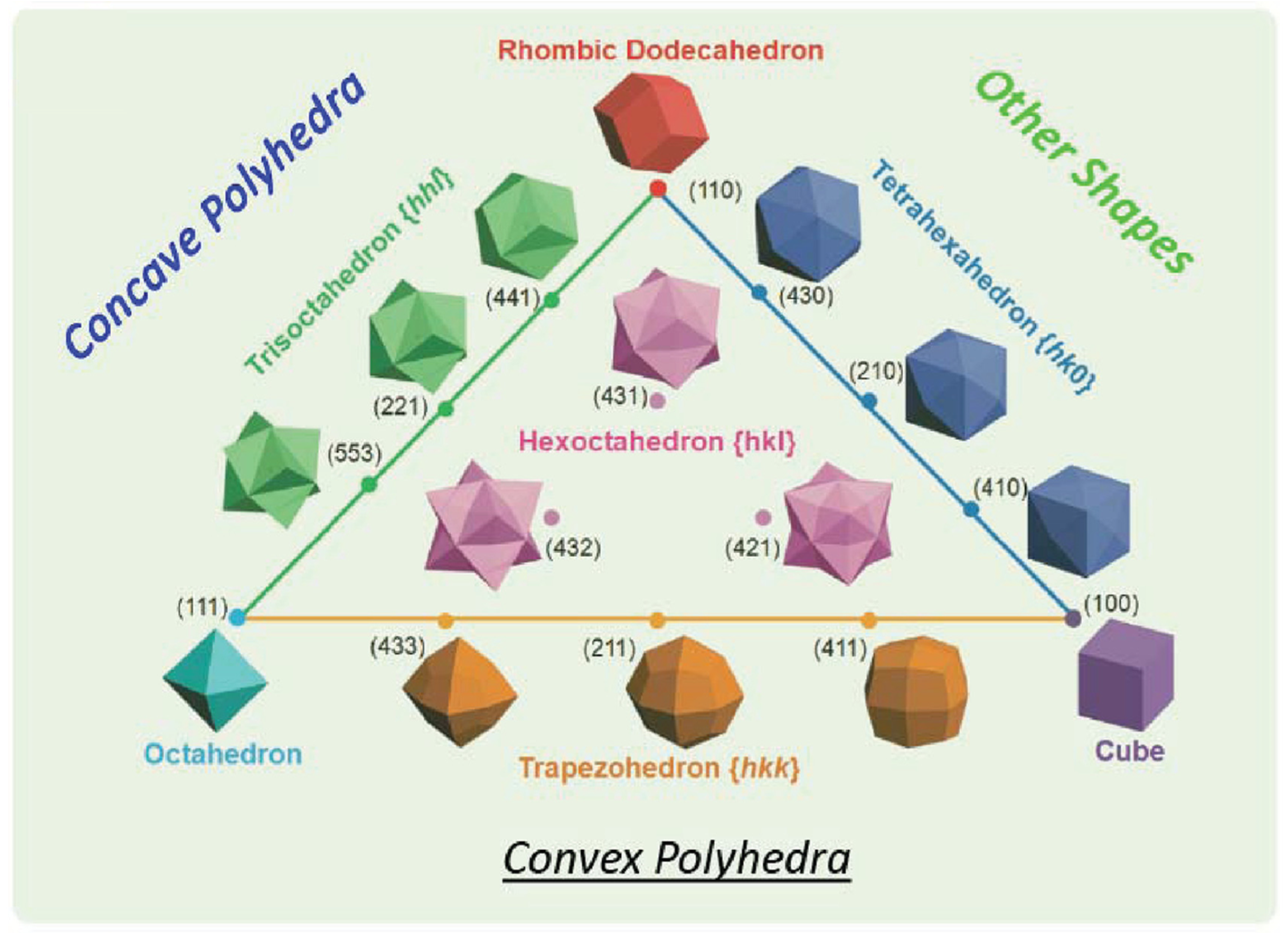 Catalysts 14 00060 g009