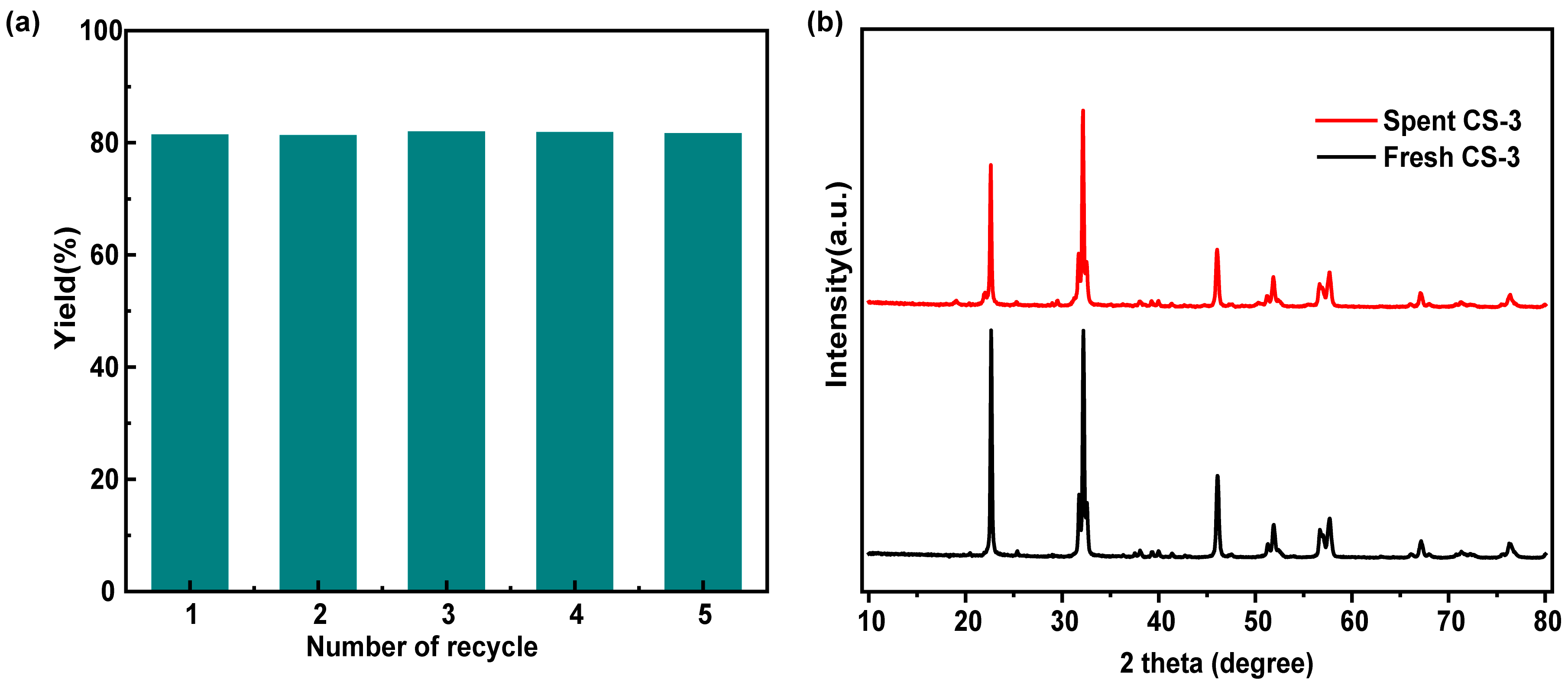 Catalysts 14 00070 g005
