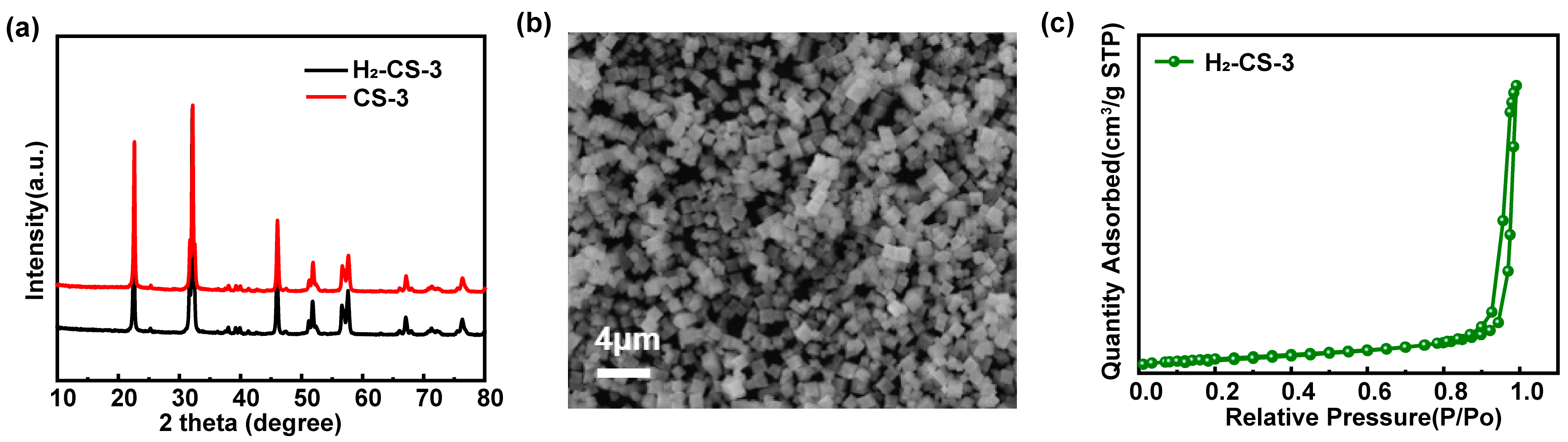 Catalysts 14 00070 g010