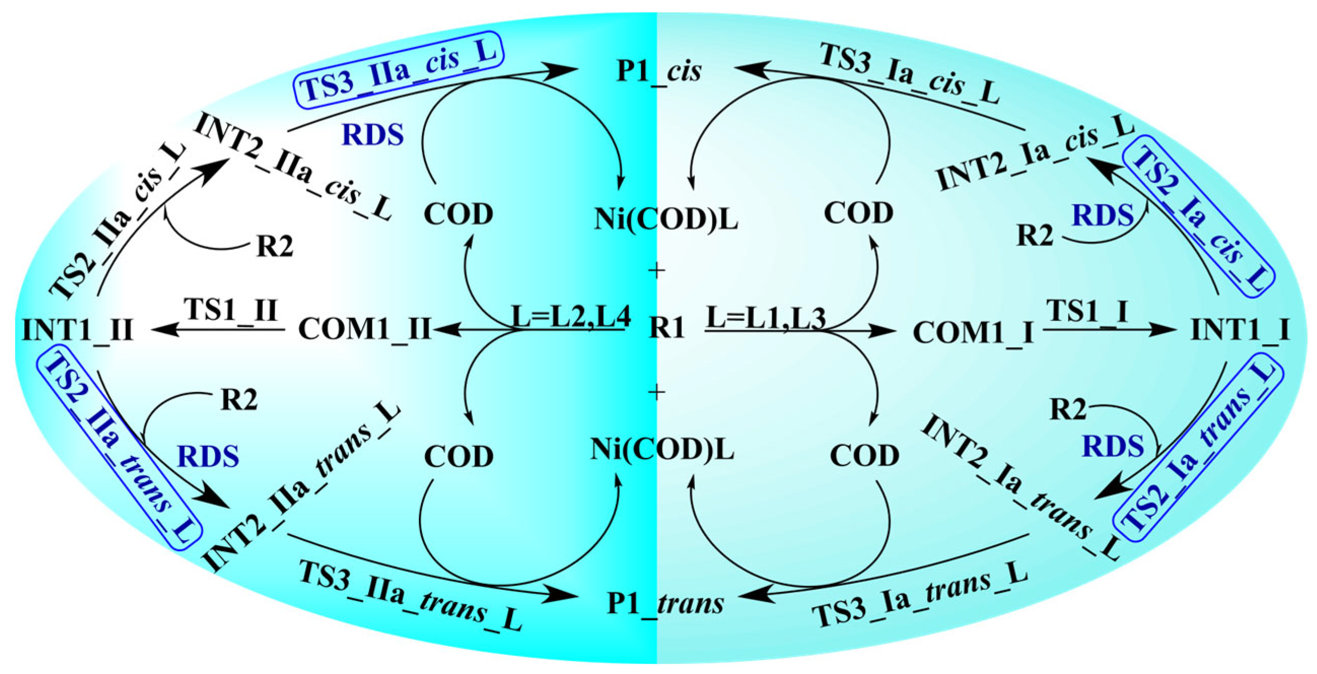 Catalysts 14 00082 sch002 Catalysts 14 00082 sch002