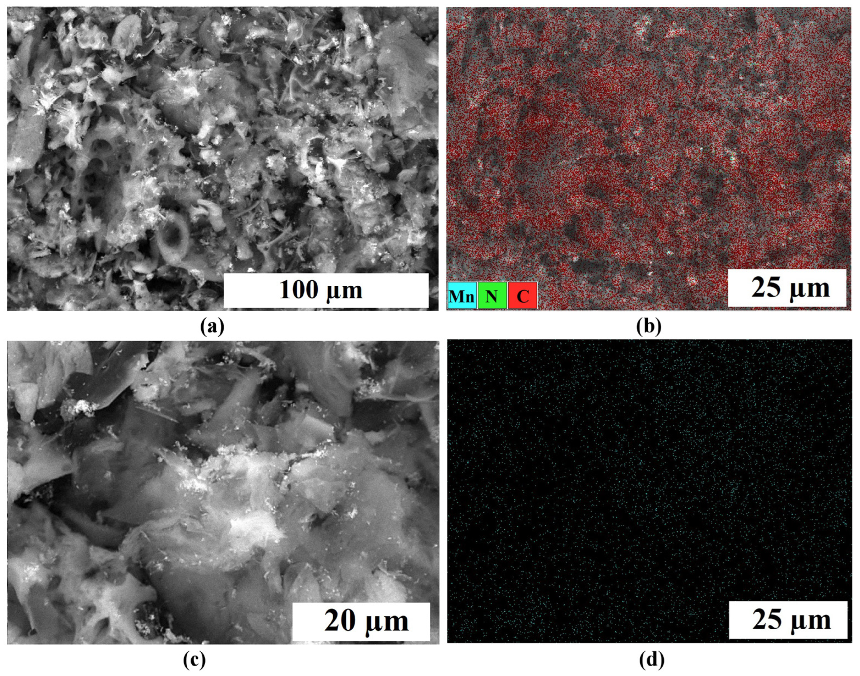 Catalysts 14 00092 g003