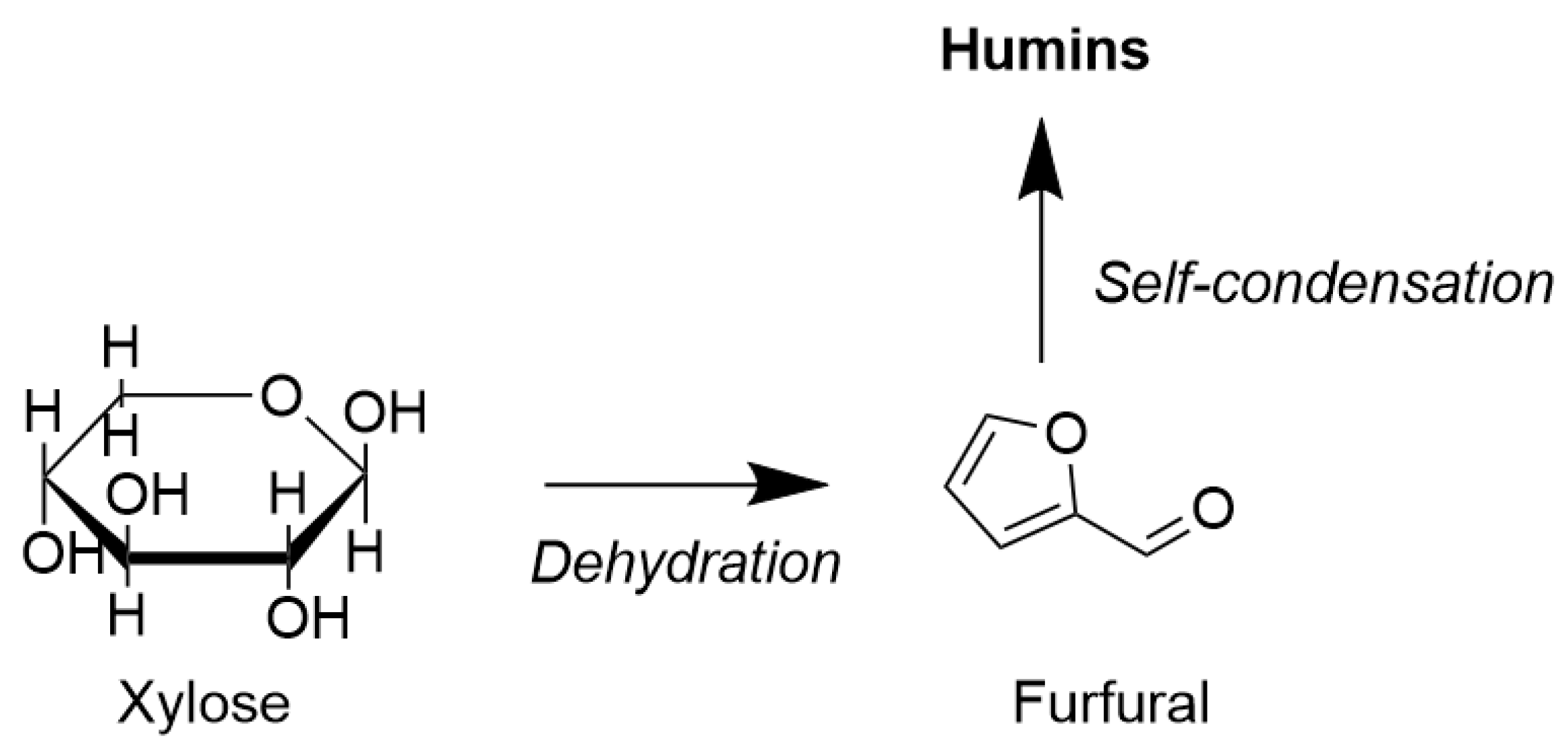Catalysts 14 00117 sch002