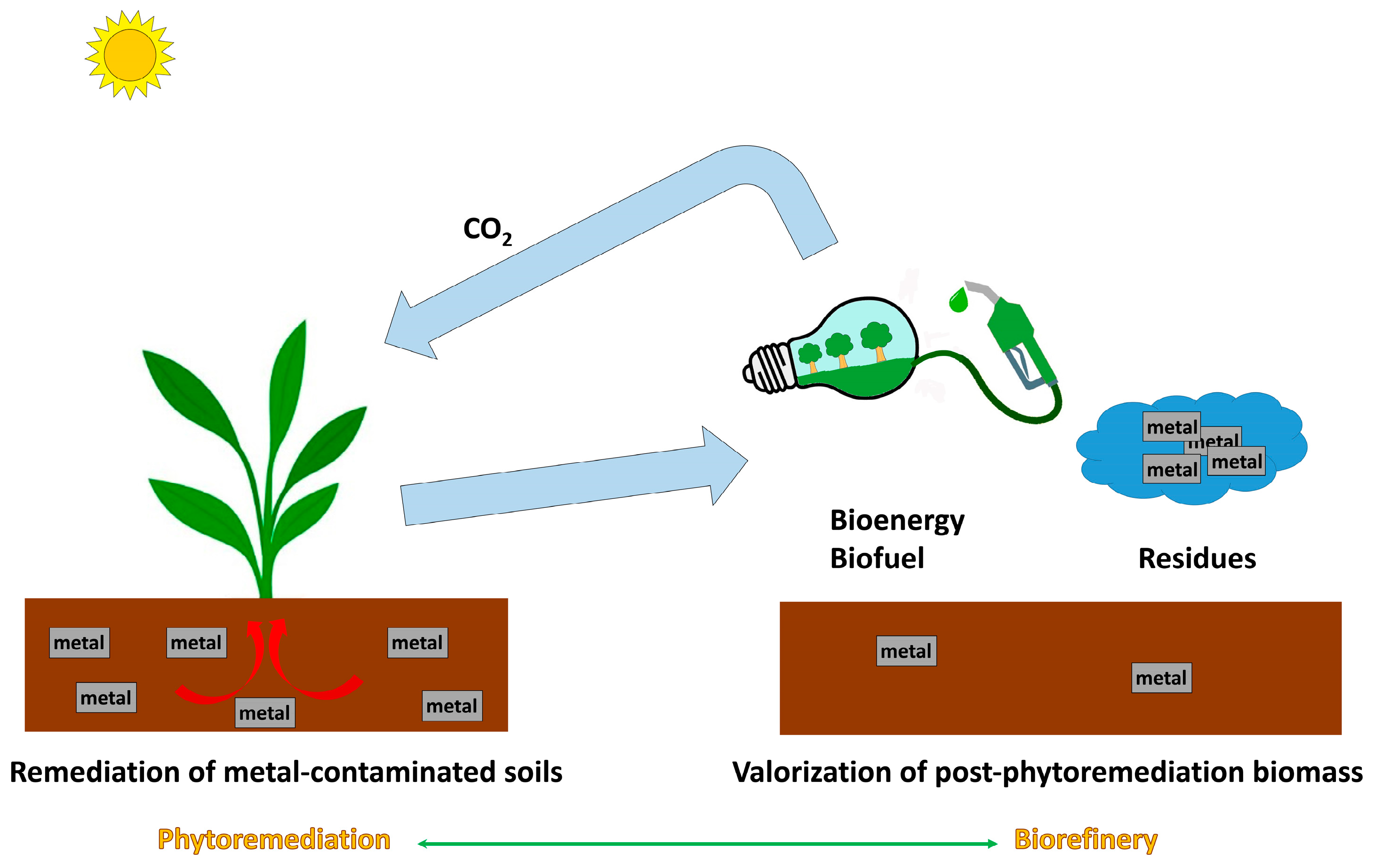 Catalysts 14 00118 g002