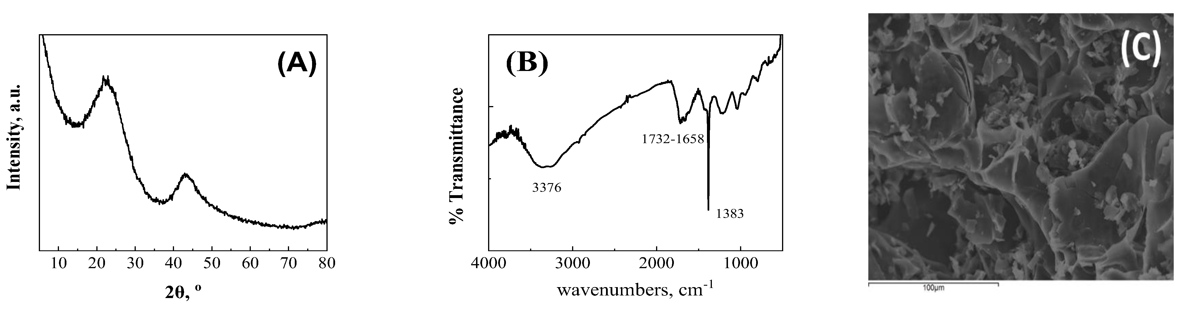 Catalysts 14 00127 g009