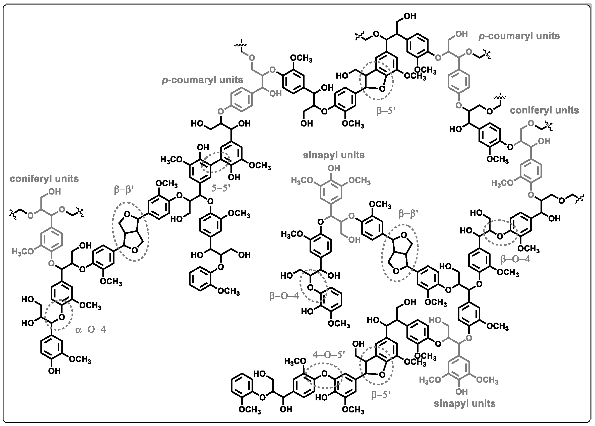 Catalysts 14 00146 g001
