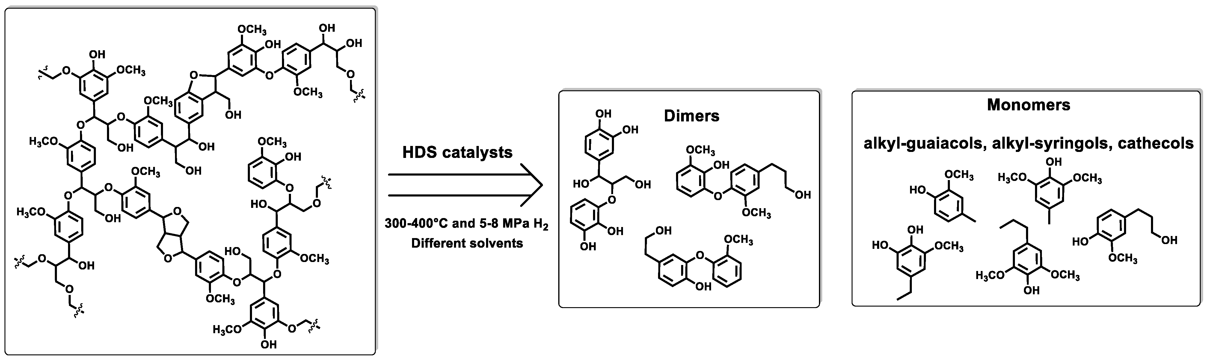Catalysts 14 00146 g004