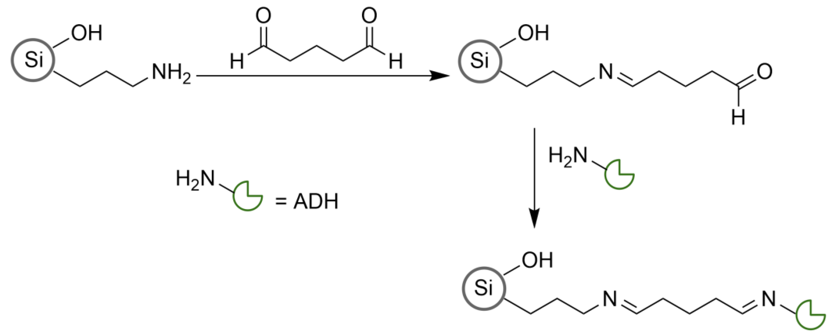 Catalysts 14 00148 sch002