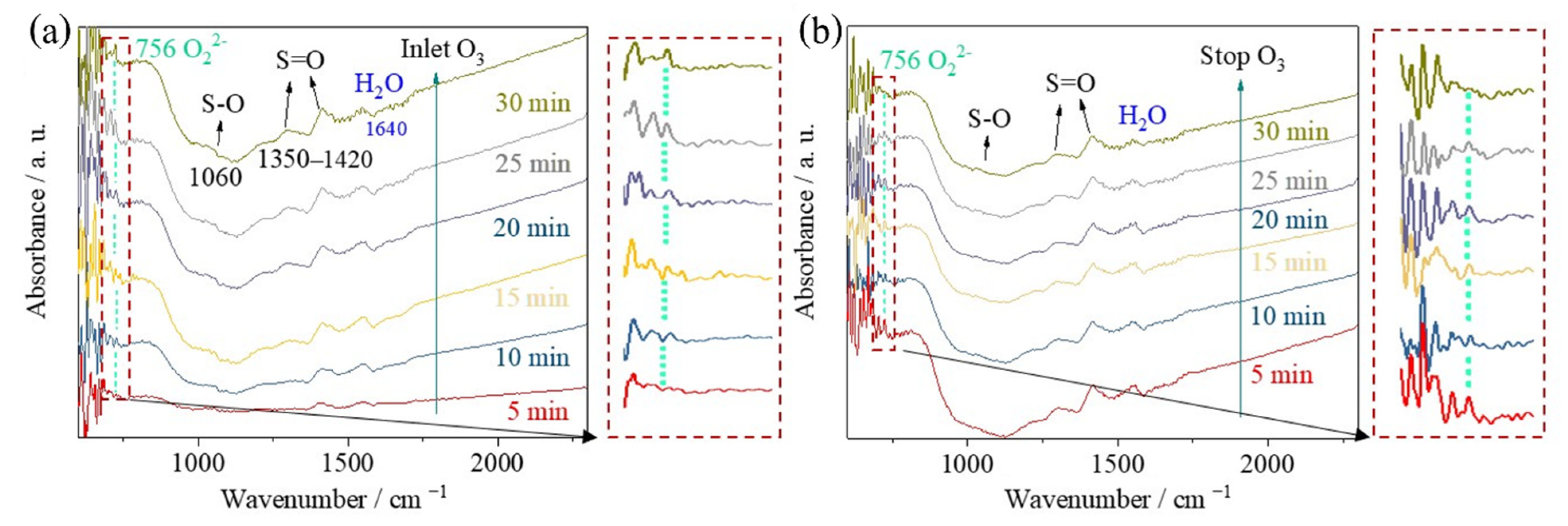 Catalysts 14 00153 g007