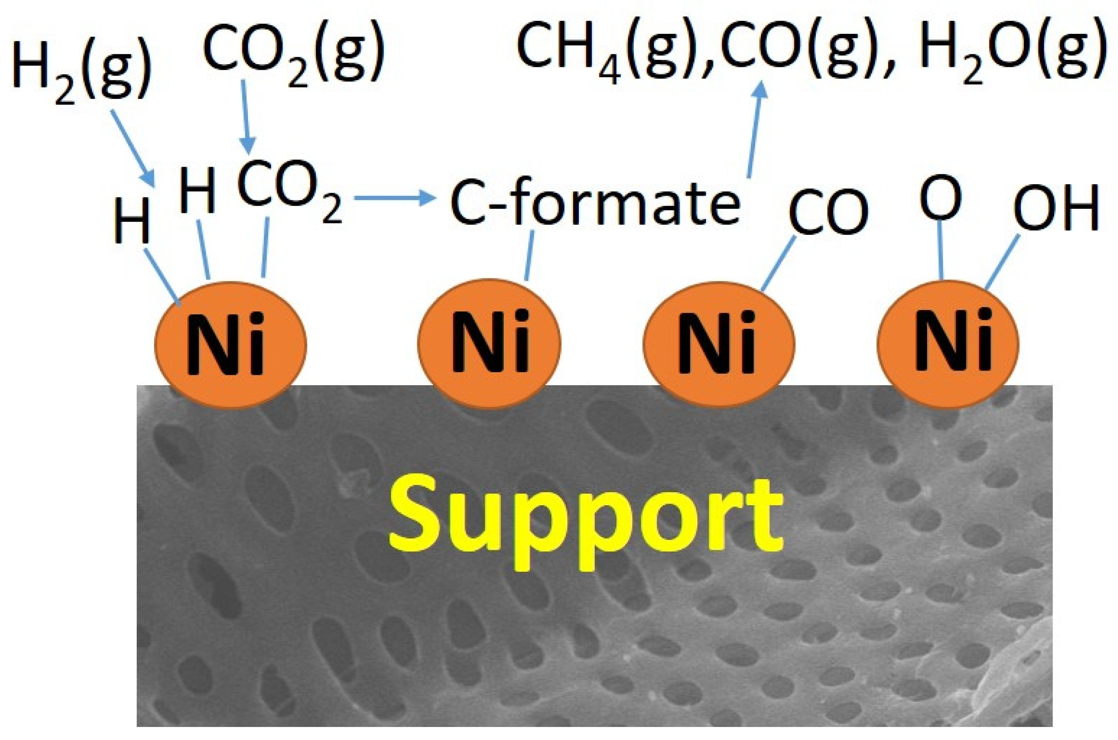 Catalysts 14 00155 sch001